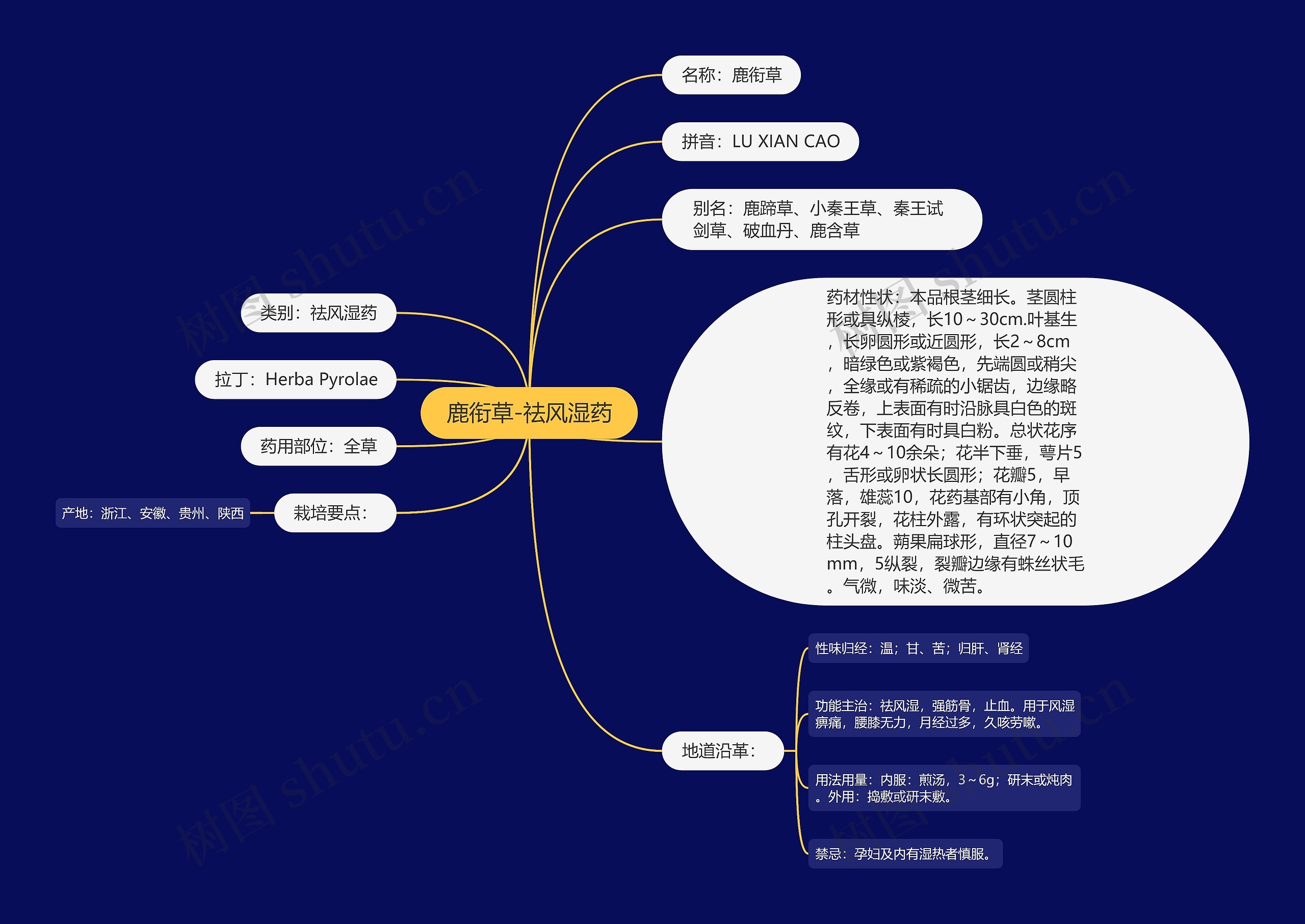 鹿衔草-祛风湿药思维导图