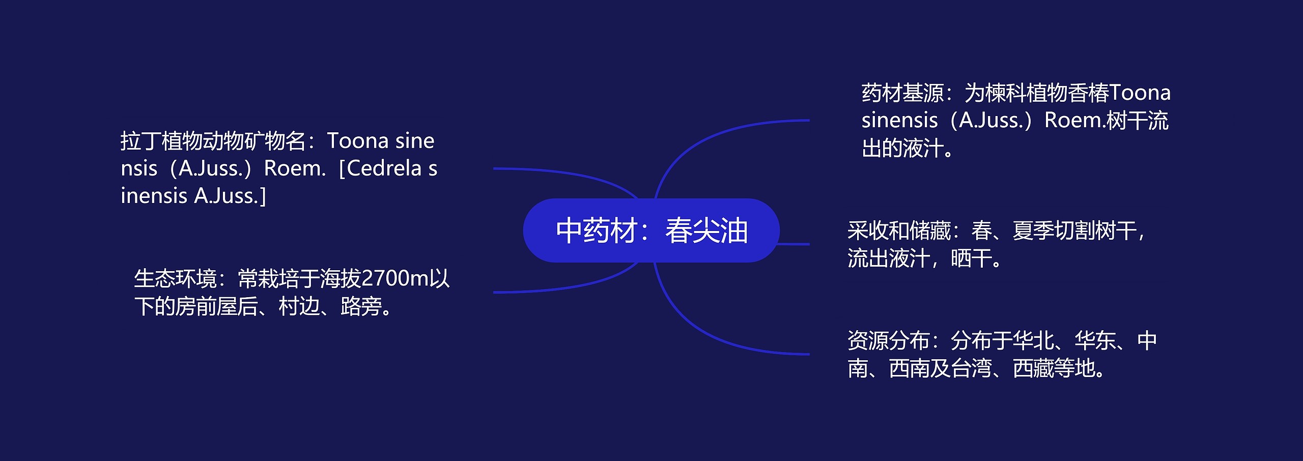 中药材:春尖油 中药材:春尖油