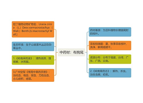 中药材：布狗尾