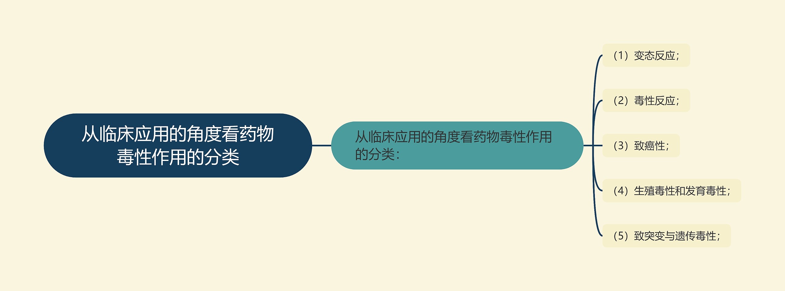 从临床应用的角度看药物毒性作用的分类思维导图