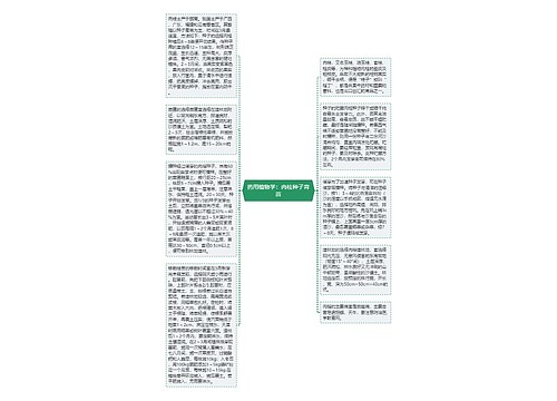 药用植物学：肉桂种子育苗