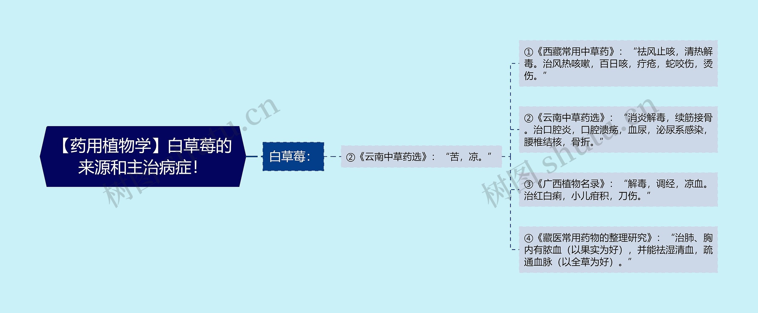 【药用植物学】白草莓的来源和主治病症！思维导图