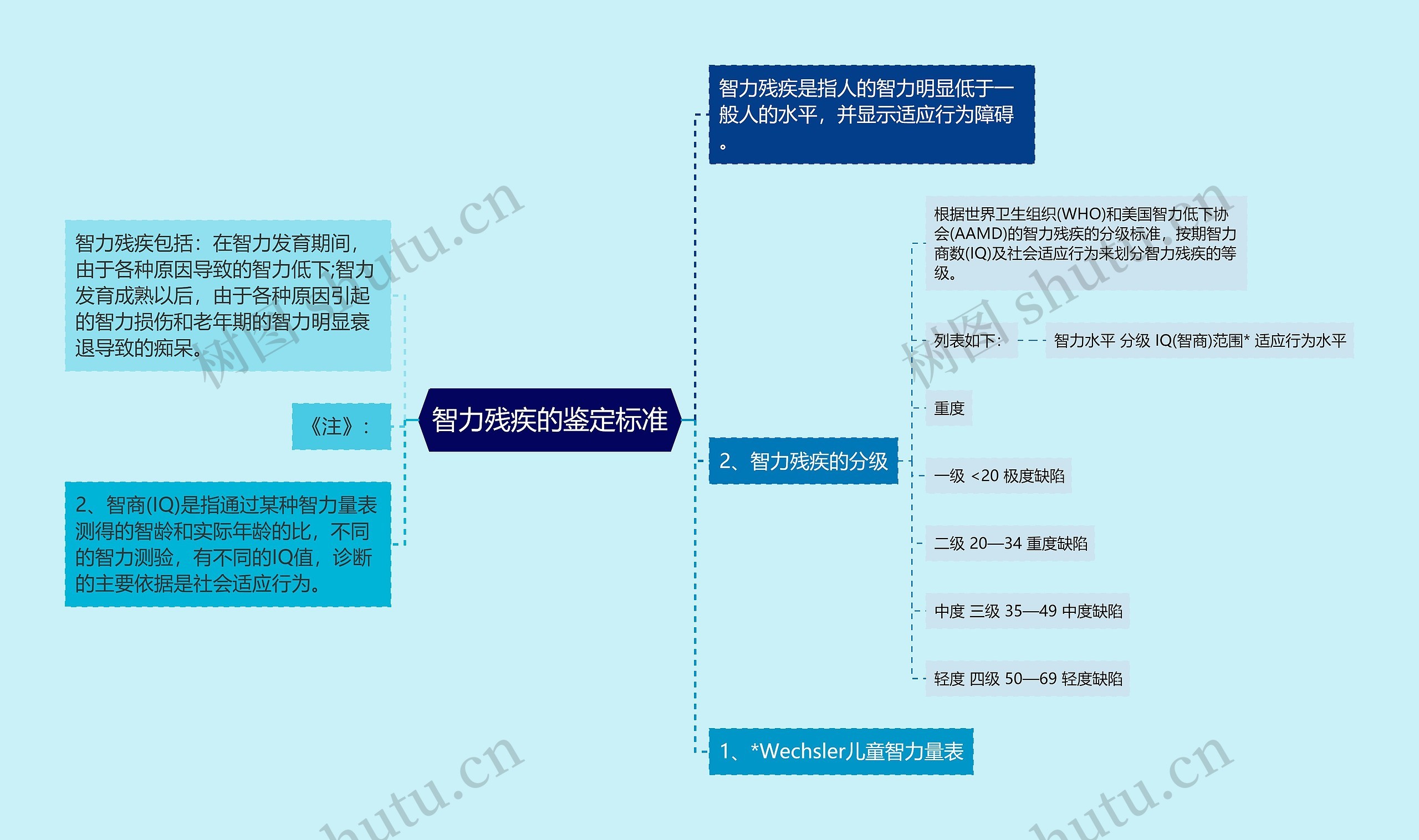 智力残疾的鉴定标准思维导图