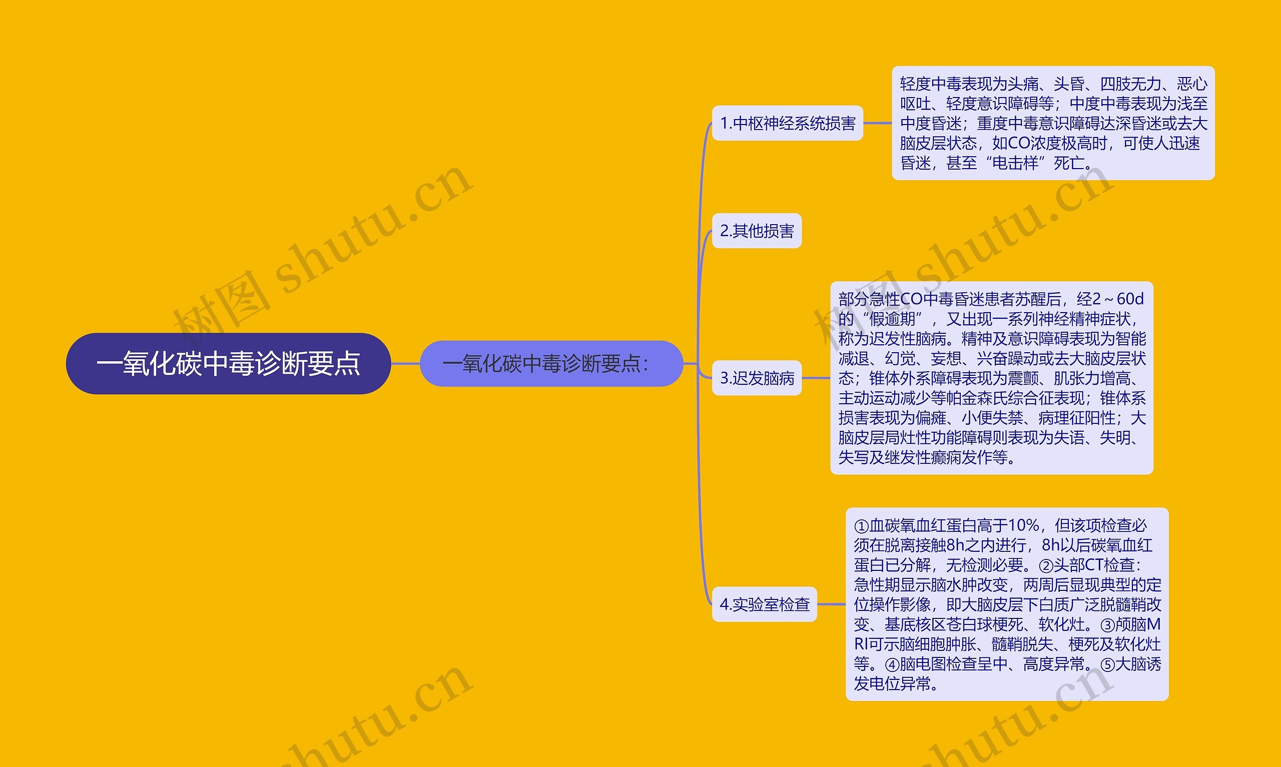 一氧化碳中毒诊断要点思维导图