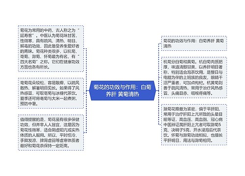 菊花的功效与作用：白菊养肝 黄菊清热