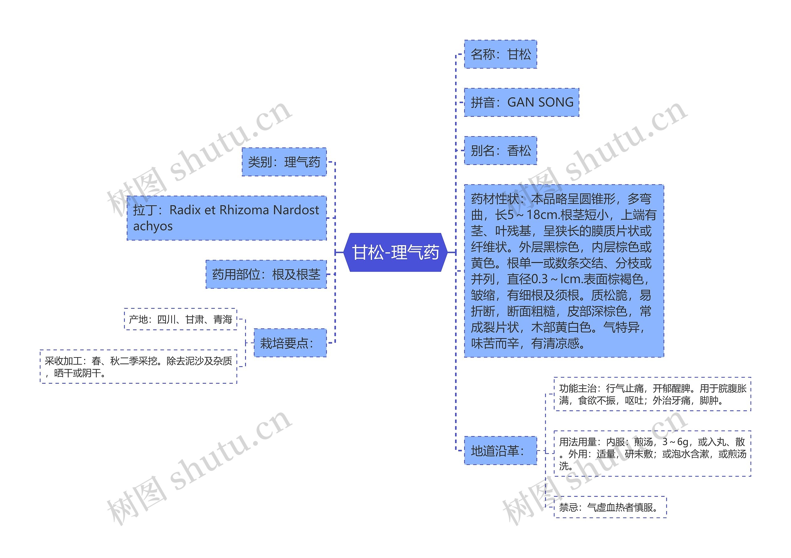 甘松-理气药 甘松-理气药