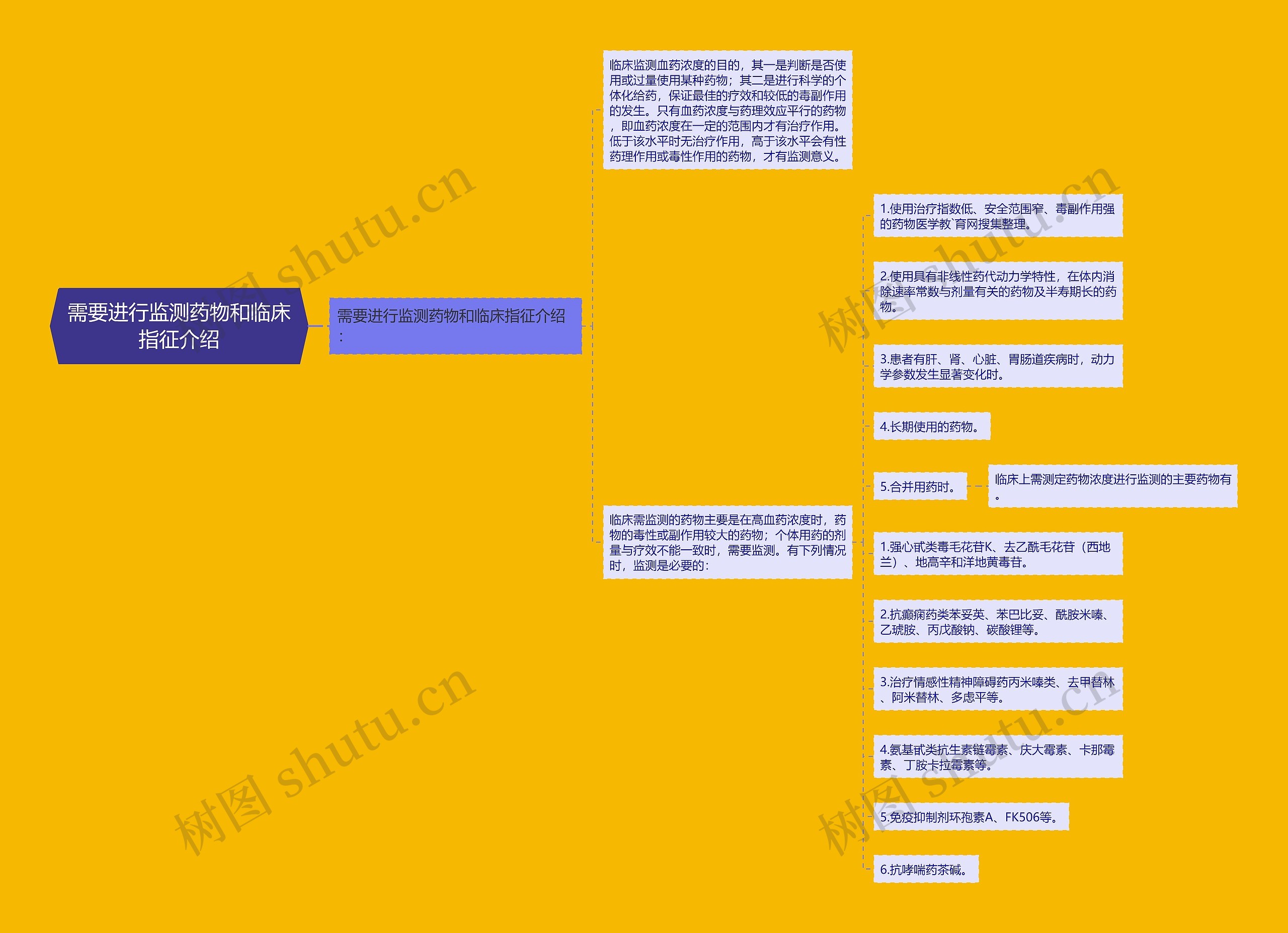 需要进行监测药物和临床指征介绍思维导图