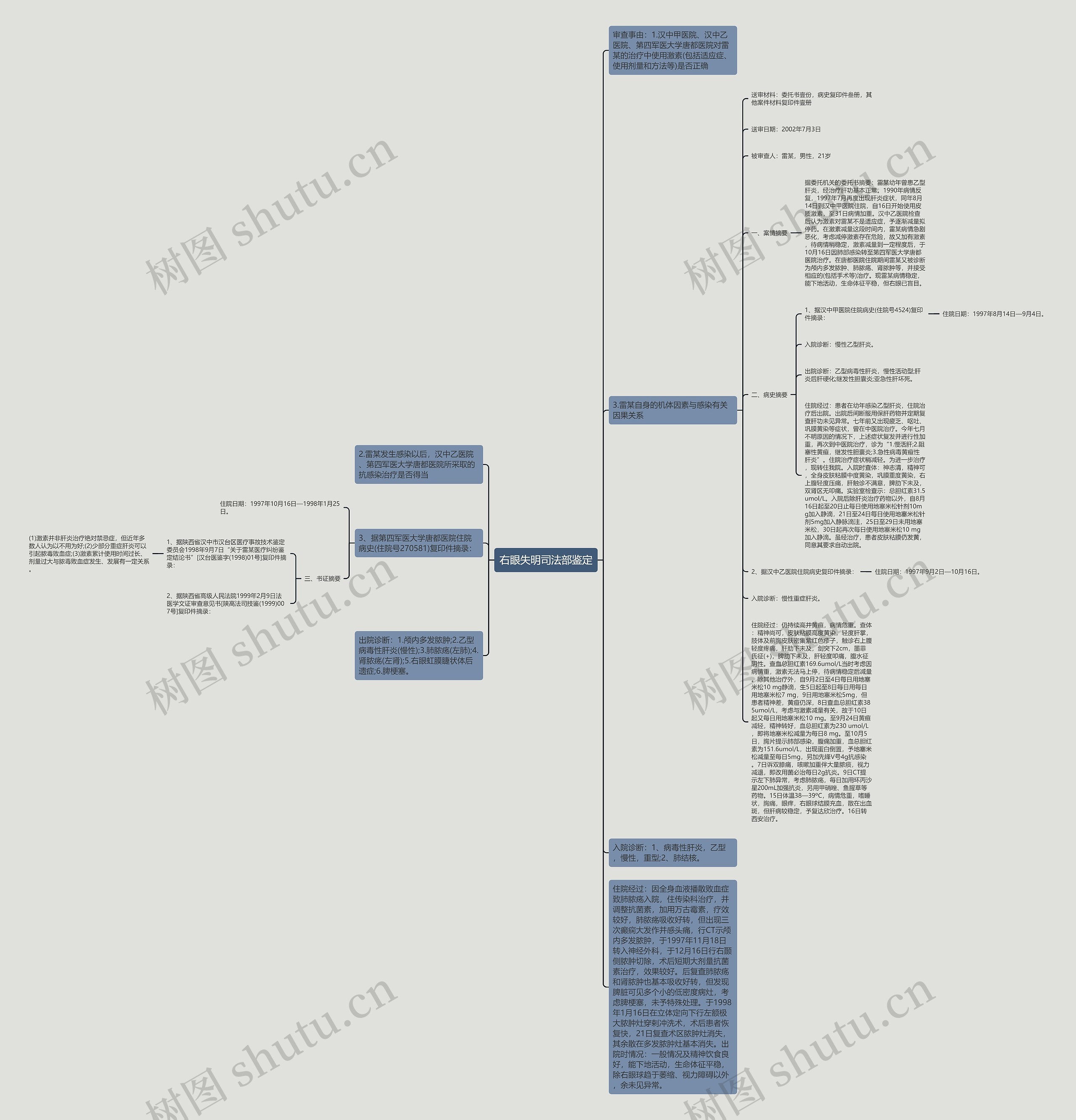 右眼失明司法部鉴定思维导图