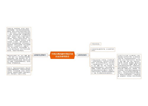 中药白果的副作用和不良反应及使用禁忌