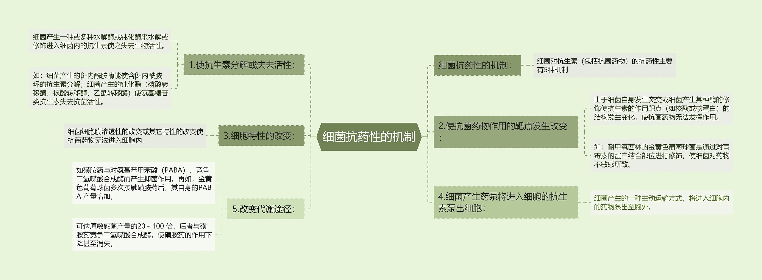 细菌抗药性的机制思维导图