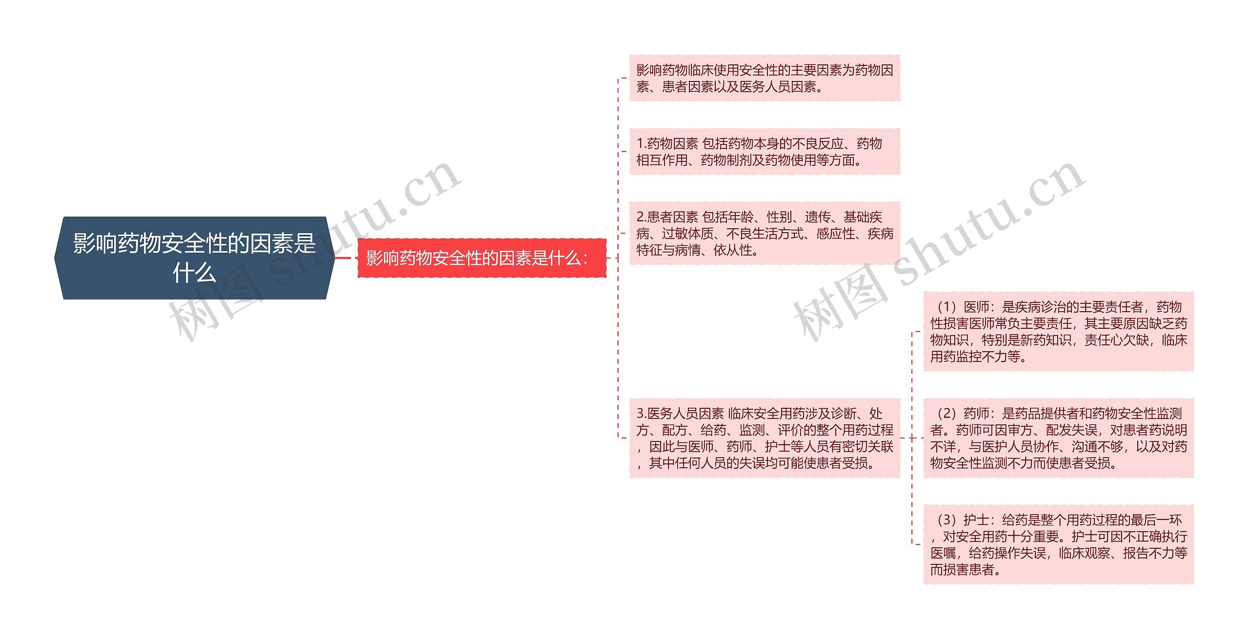 影响药物安全性的因素是什么