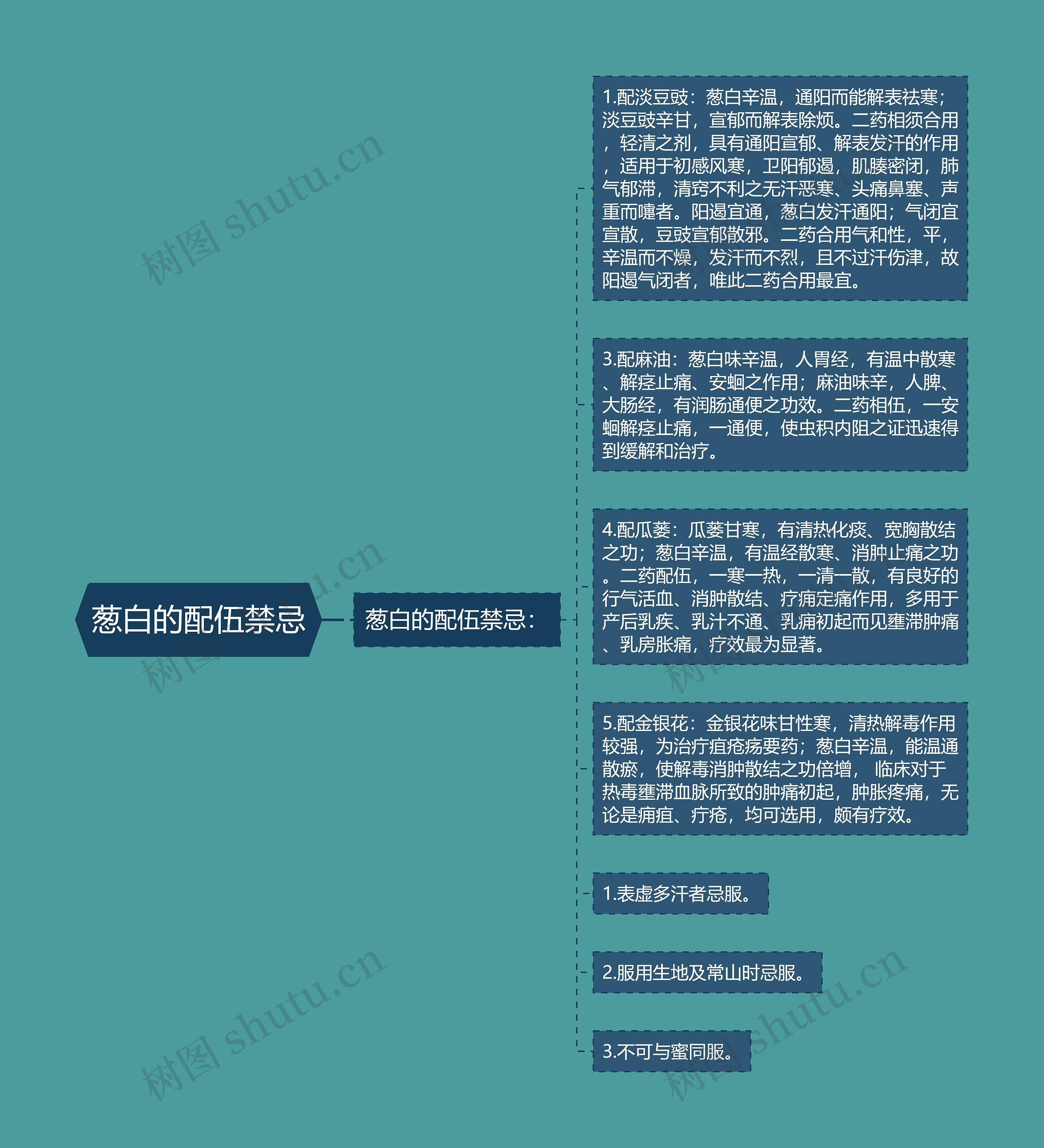 葱白的配伍禁忌 葱白的配伍禁忌