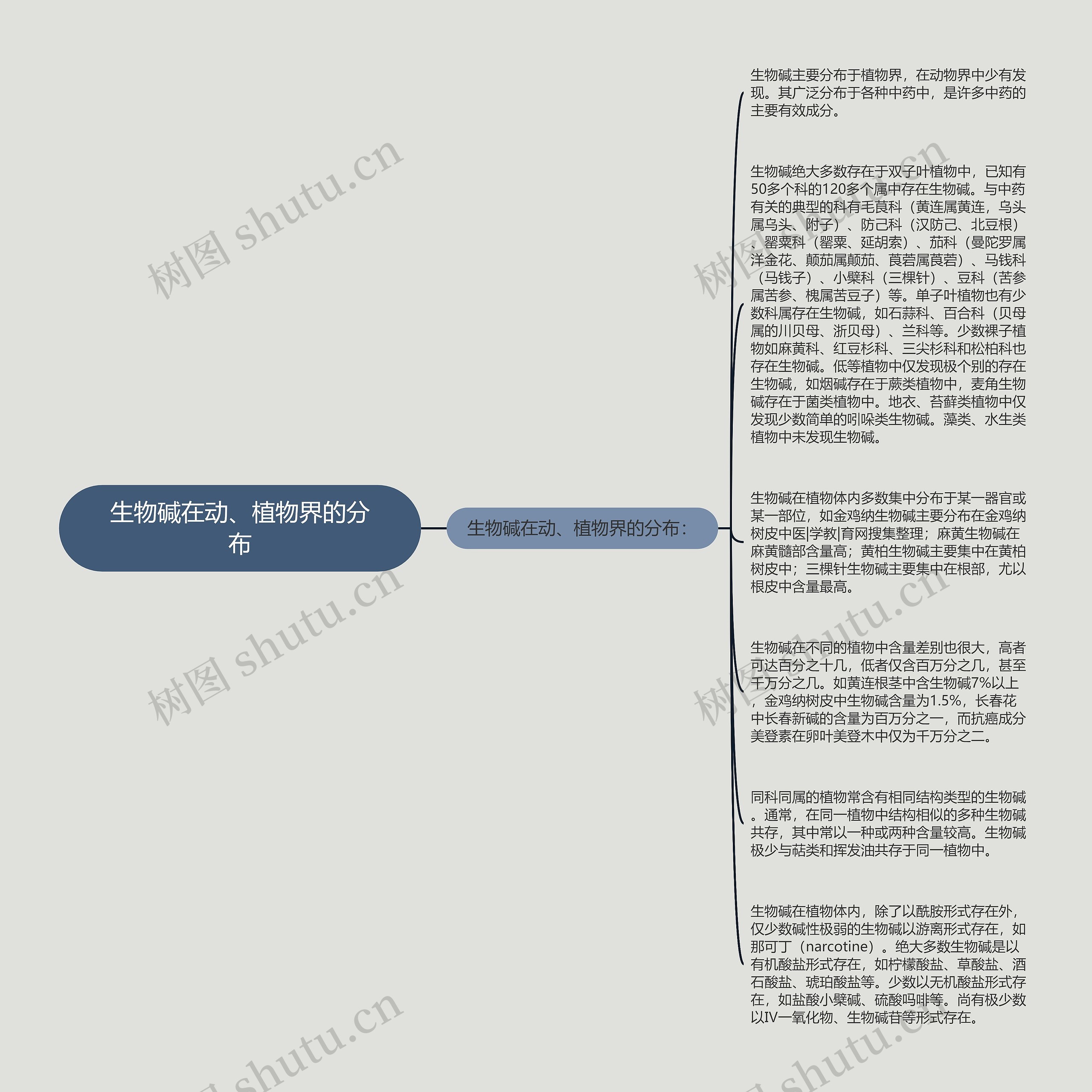 生物碱在动、植物界的分布思维导图