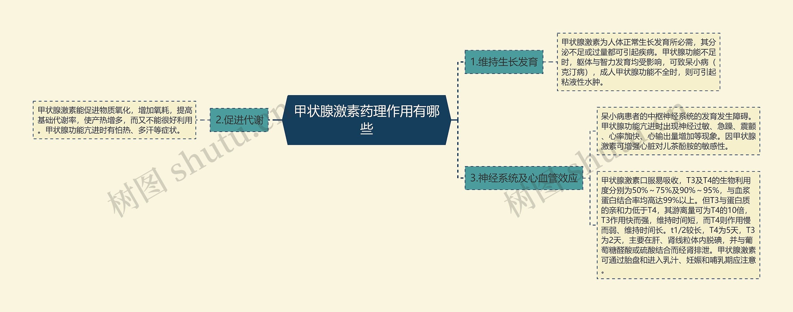 甲状腺激素药理作用有哪些