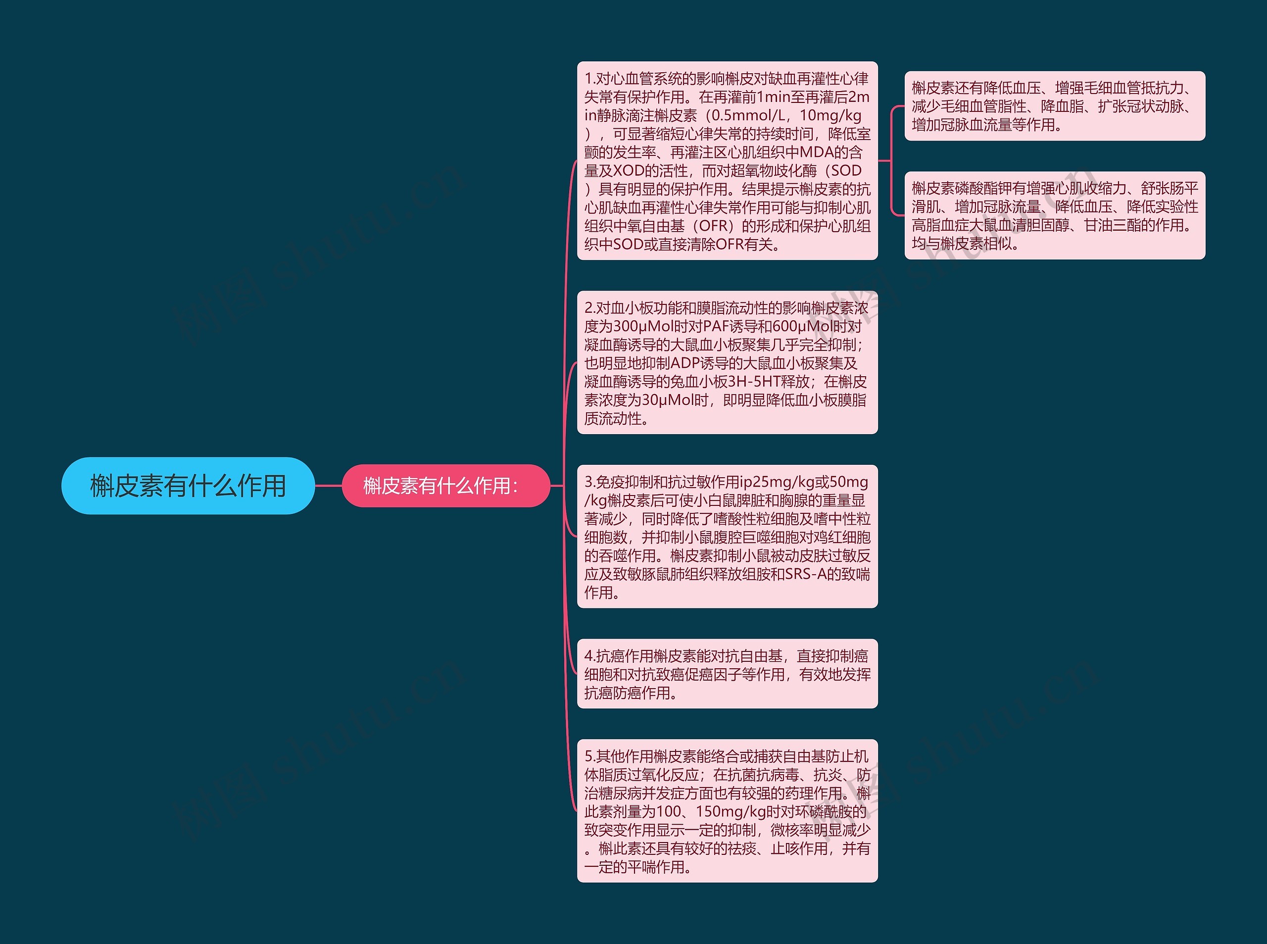 槲皮素有什么作用思维导图