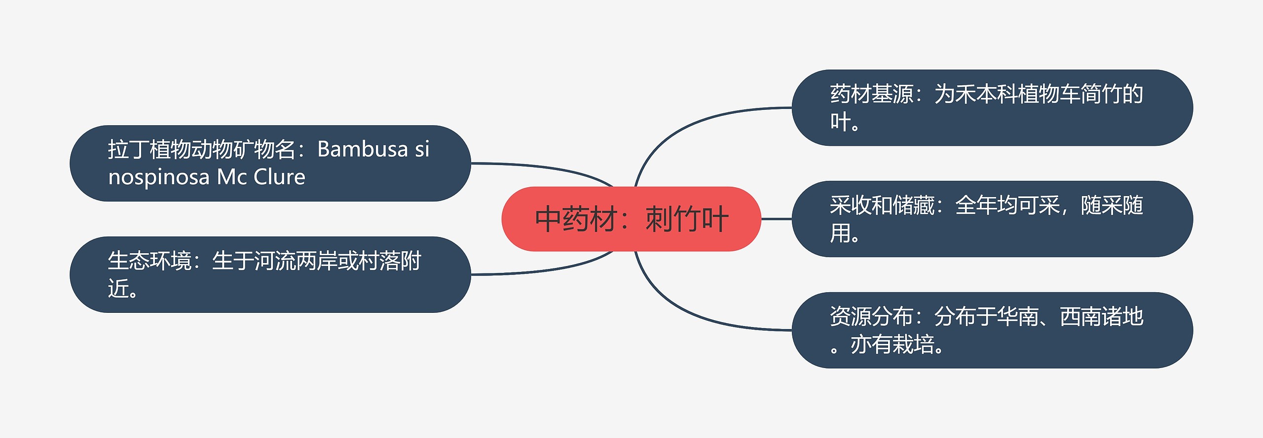 中药材：刺竹叶思维导图