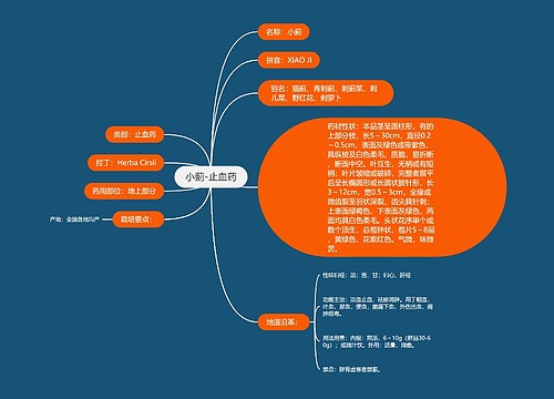 小蓟-止血药思维导图