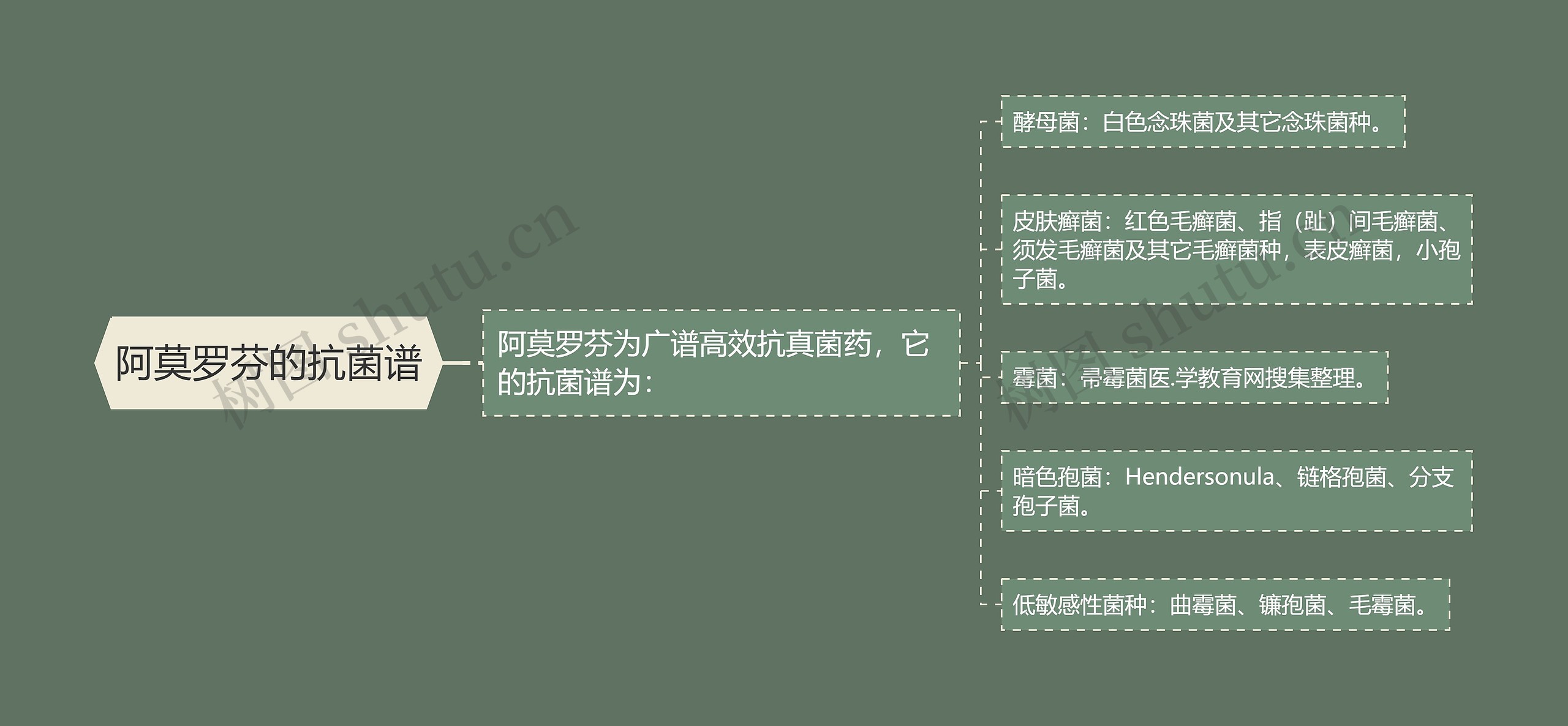 阿莫罗芬的抗菌谱 阿莫罗芬的抗菌谱