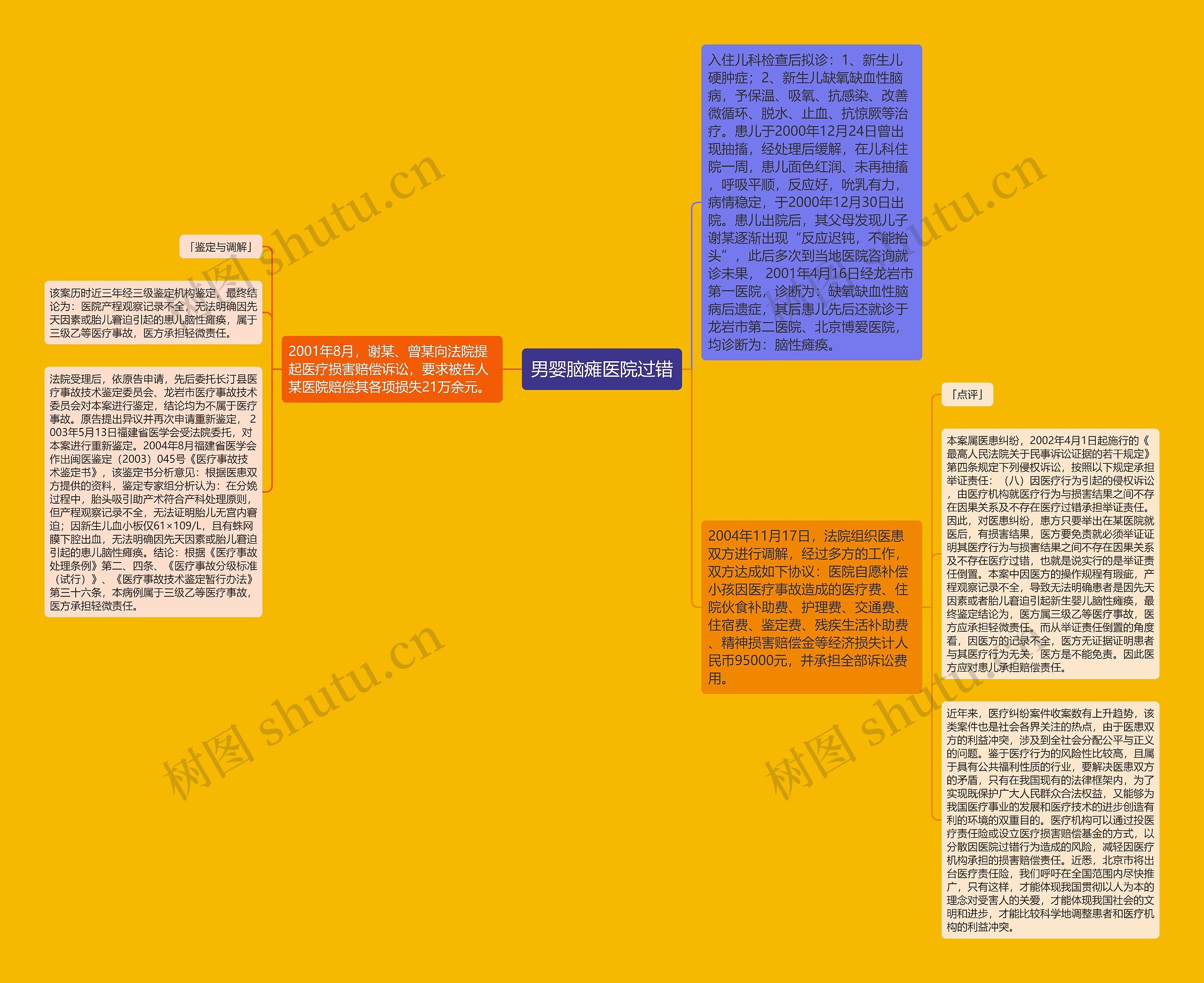 男婴脑瘫医院过错思维导图