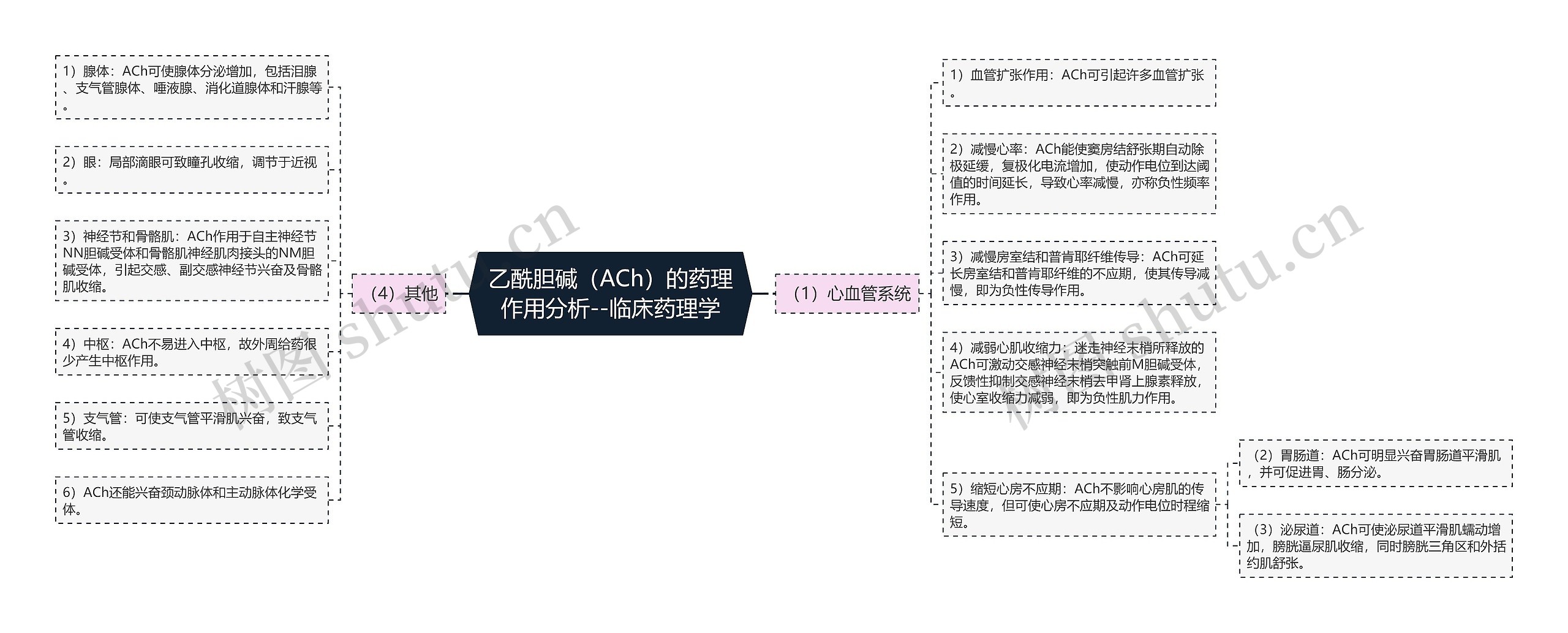 ​乙酰胆碱（ACh）的药理作用分析--临床药理学思维导图