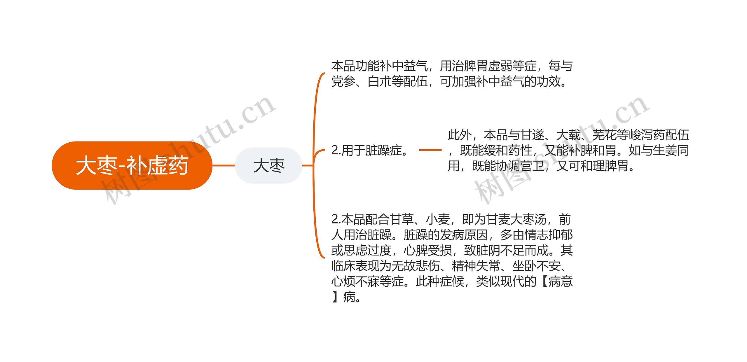 大枣-补虚药思维导图