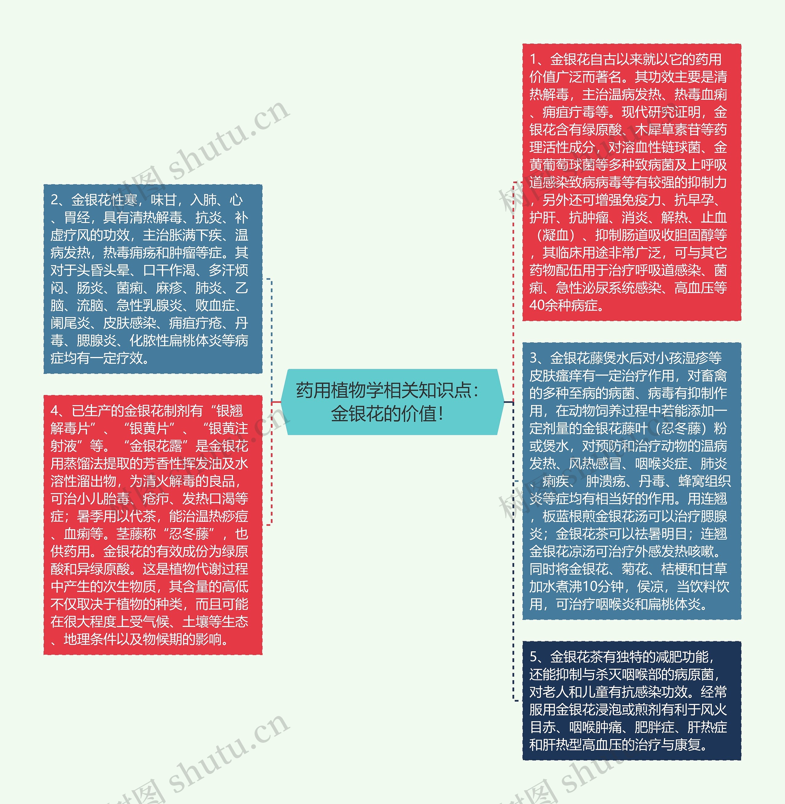 药用植物学相关知识点：金银花的价值！思维导图