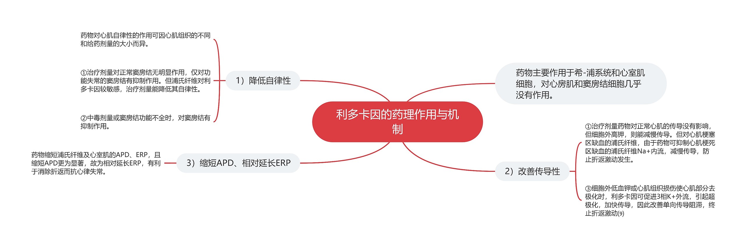 利多卡因的药理作用与机制思维导图