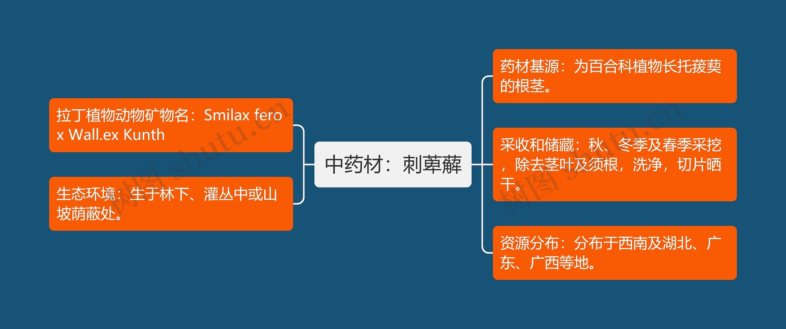 中药材：刺萆薢思维导图