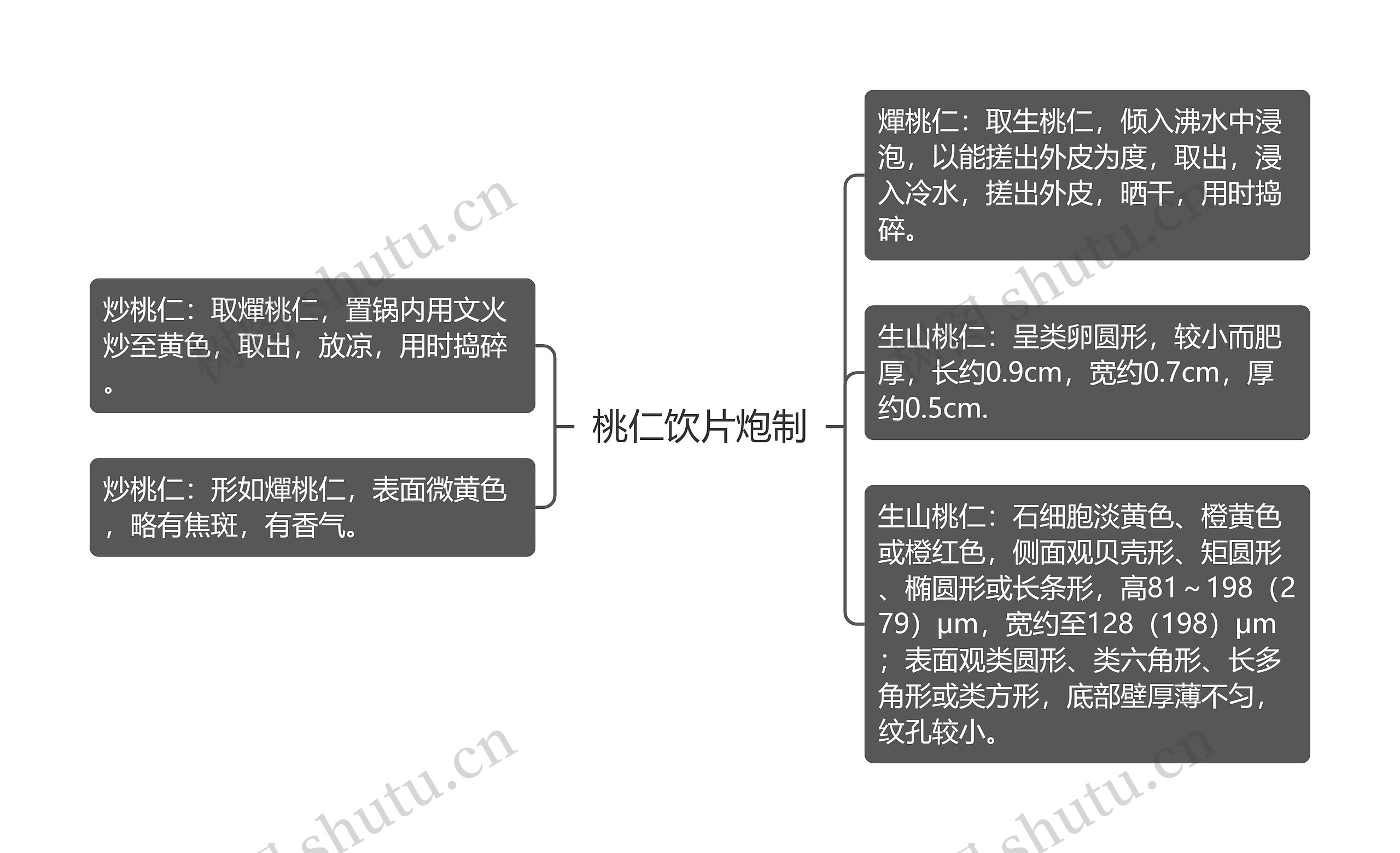 桃仁饮片炮制思维导图