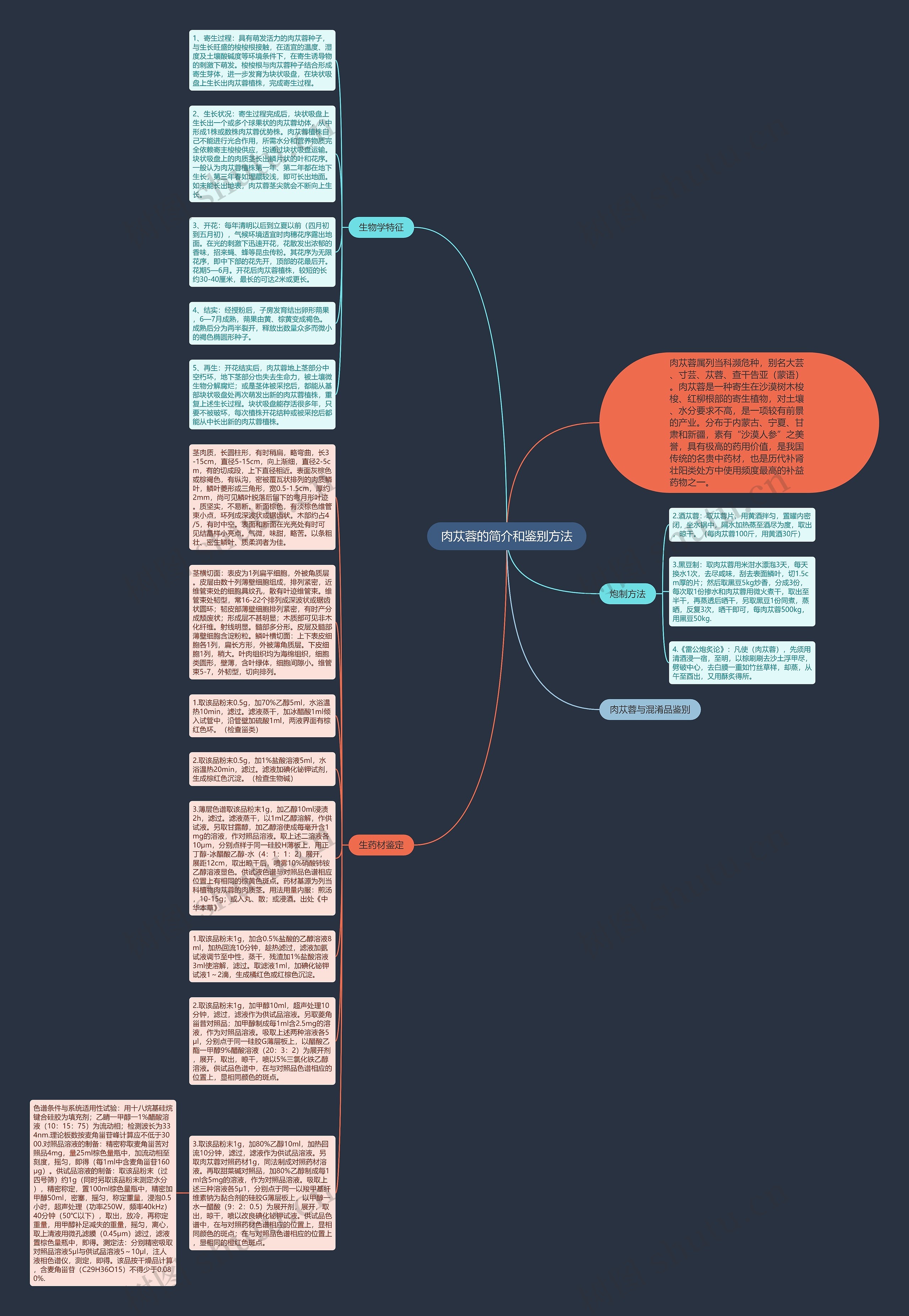 肉苁蓉的简介和鉴别方法思维导图