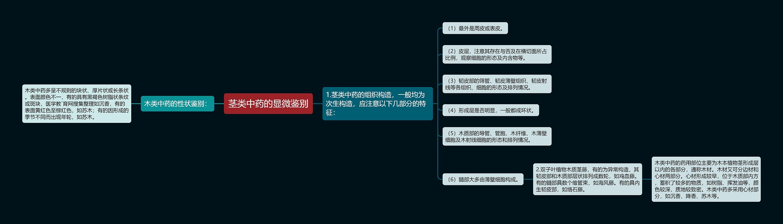 茎类中药的显微鉴别 茎类中药的显微鉴别