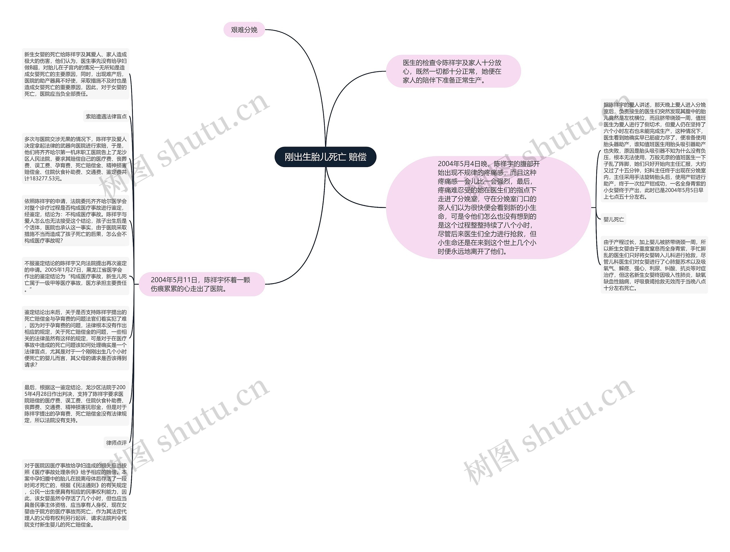 刚出生胎儿死亡 赔偿思维导图