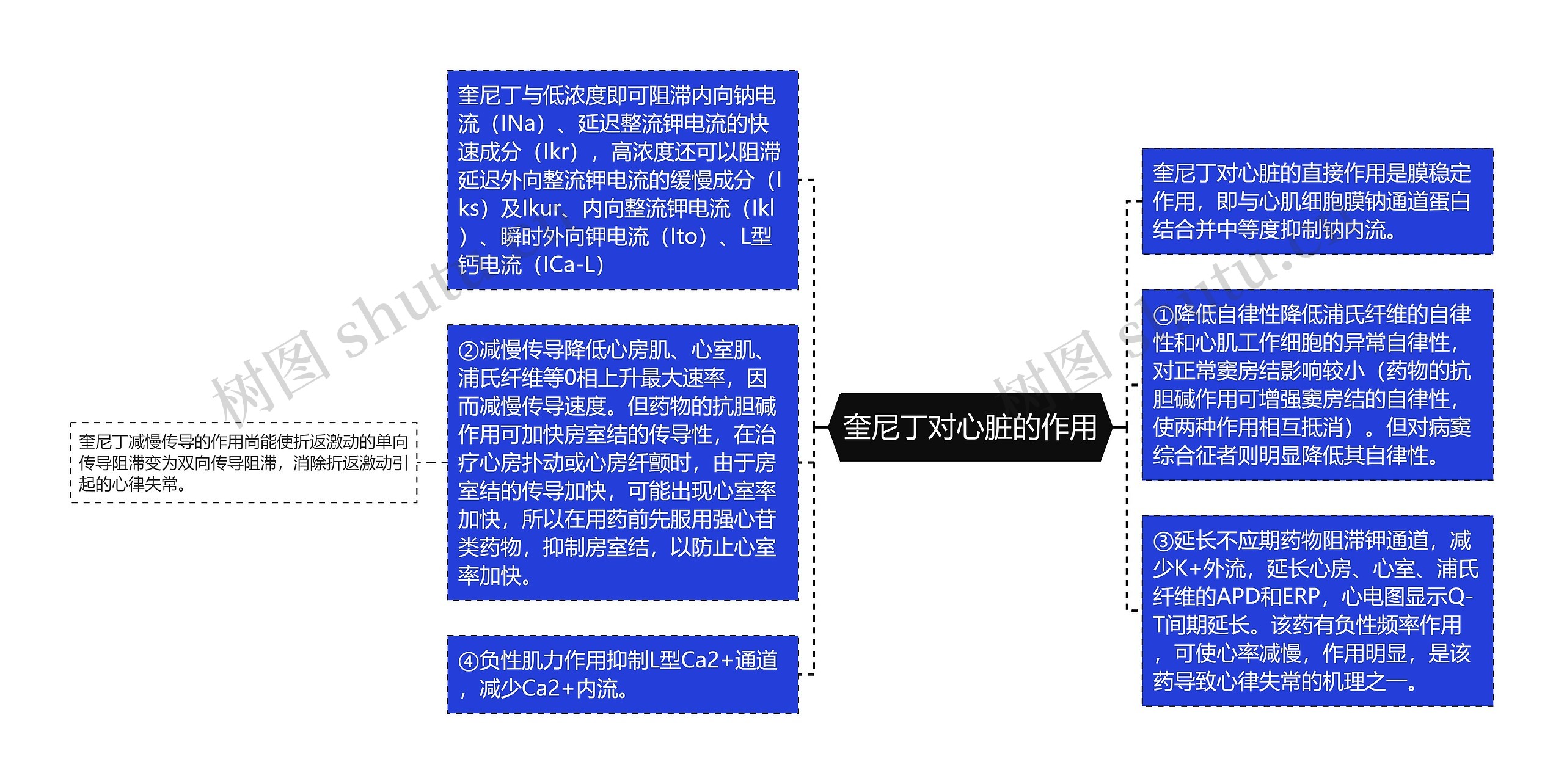 奎尼丁对心脏的作用