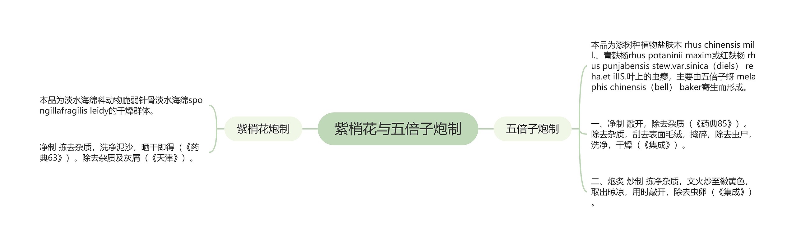 紫梢花与五倍子炮制 紫梢花与五倍子炮制