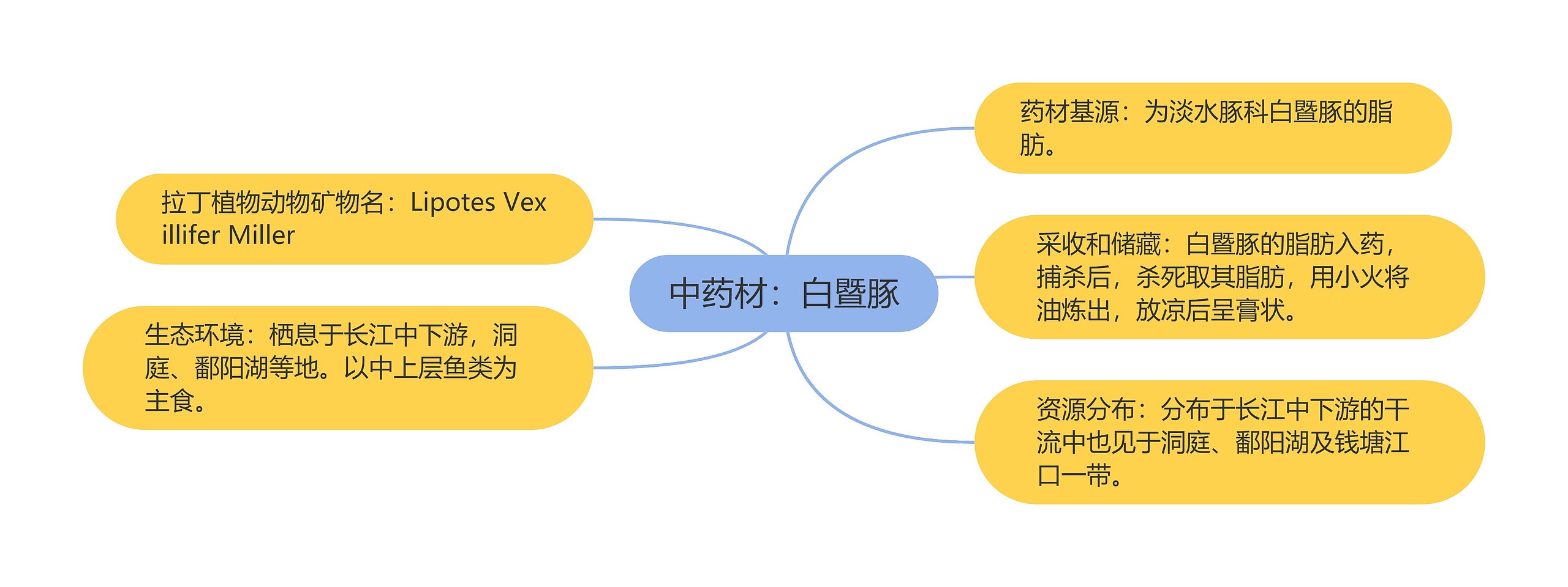 中药材：白暨豚思维导图