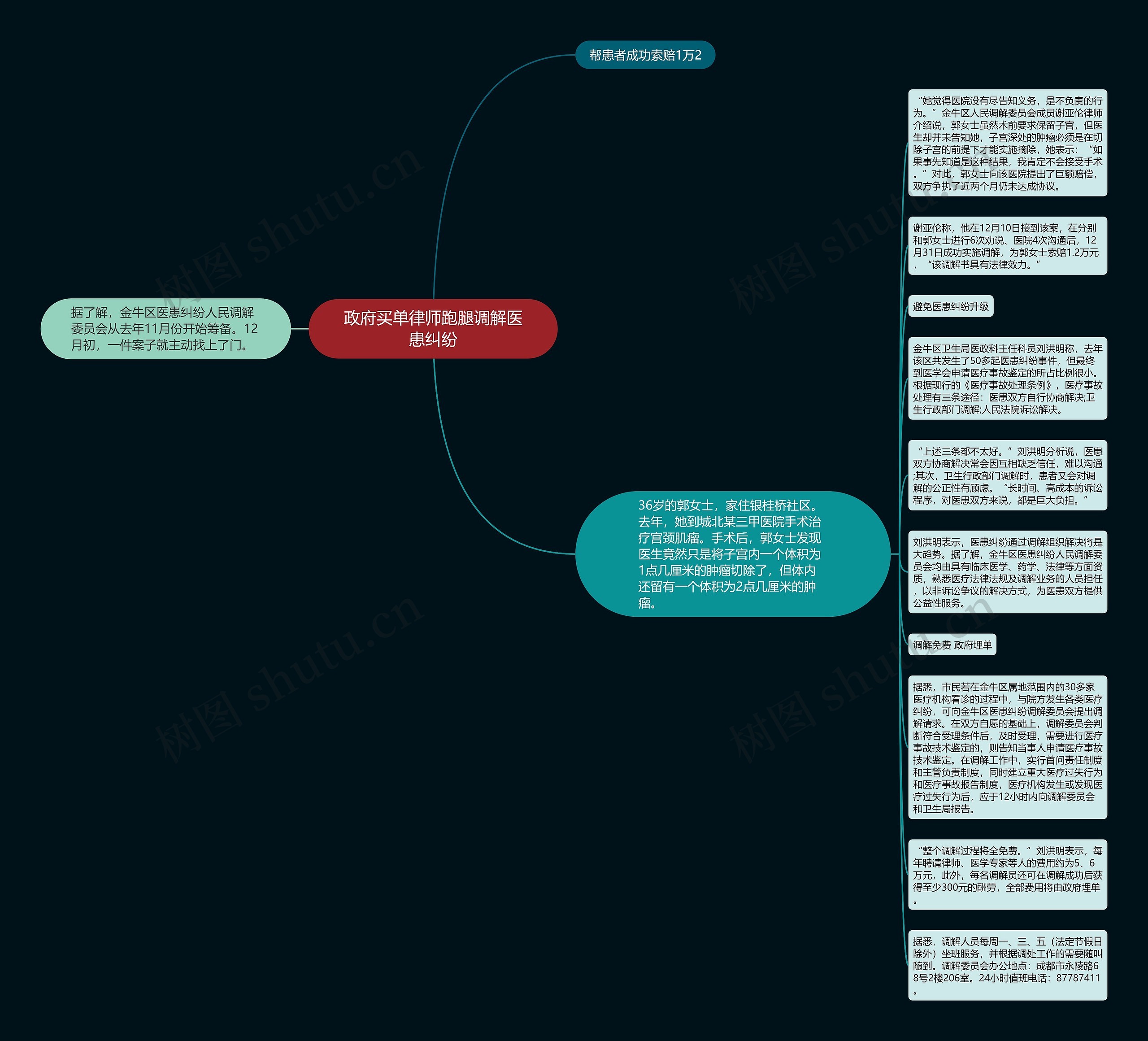 政府买单律师跑腿调解医患纠纷思维导图
