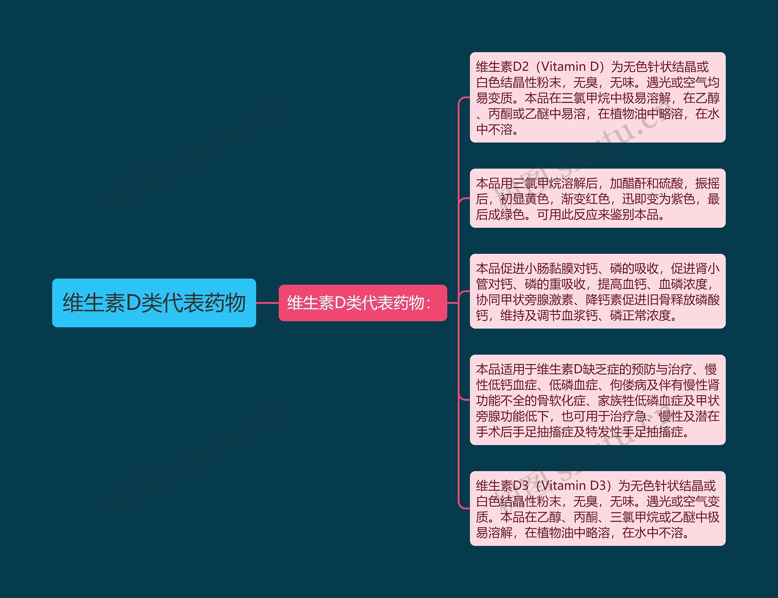 维生素D类代表药物