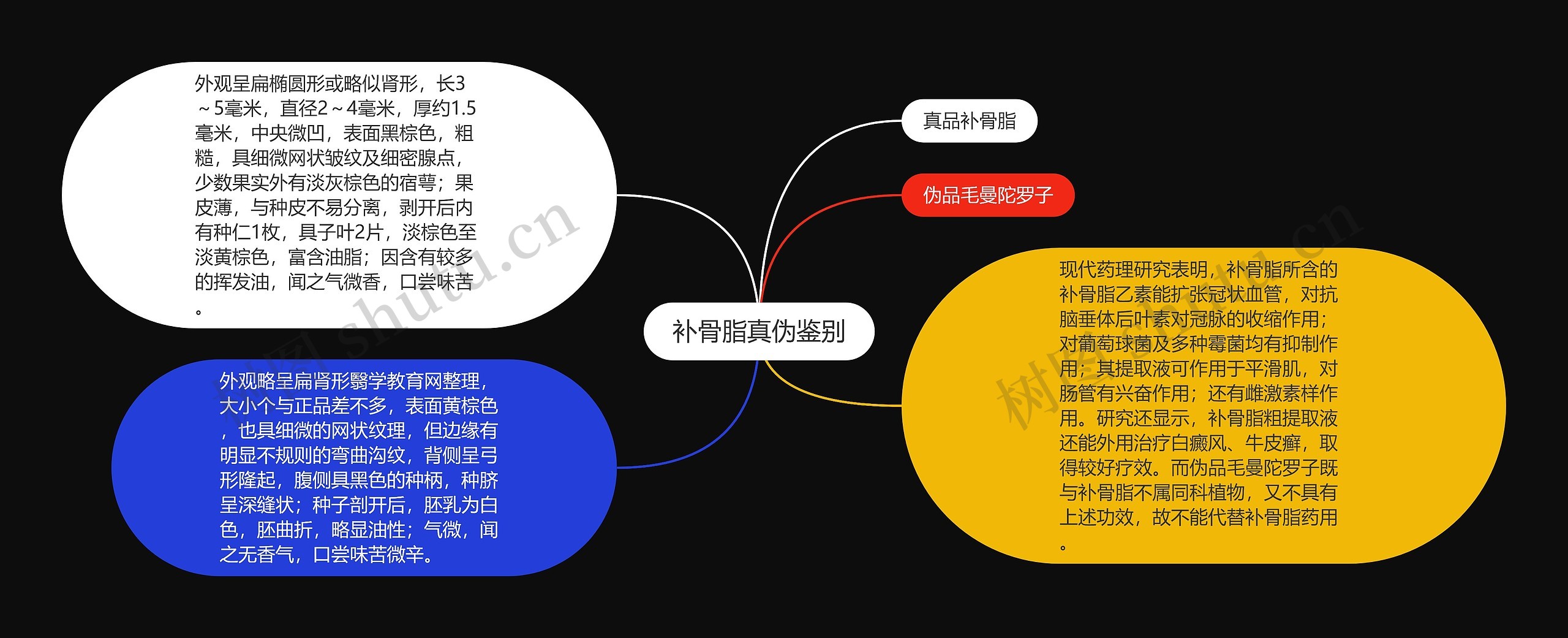 补骨脂真伪鉴别思维导图