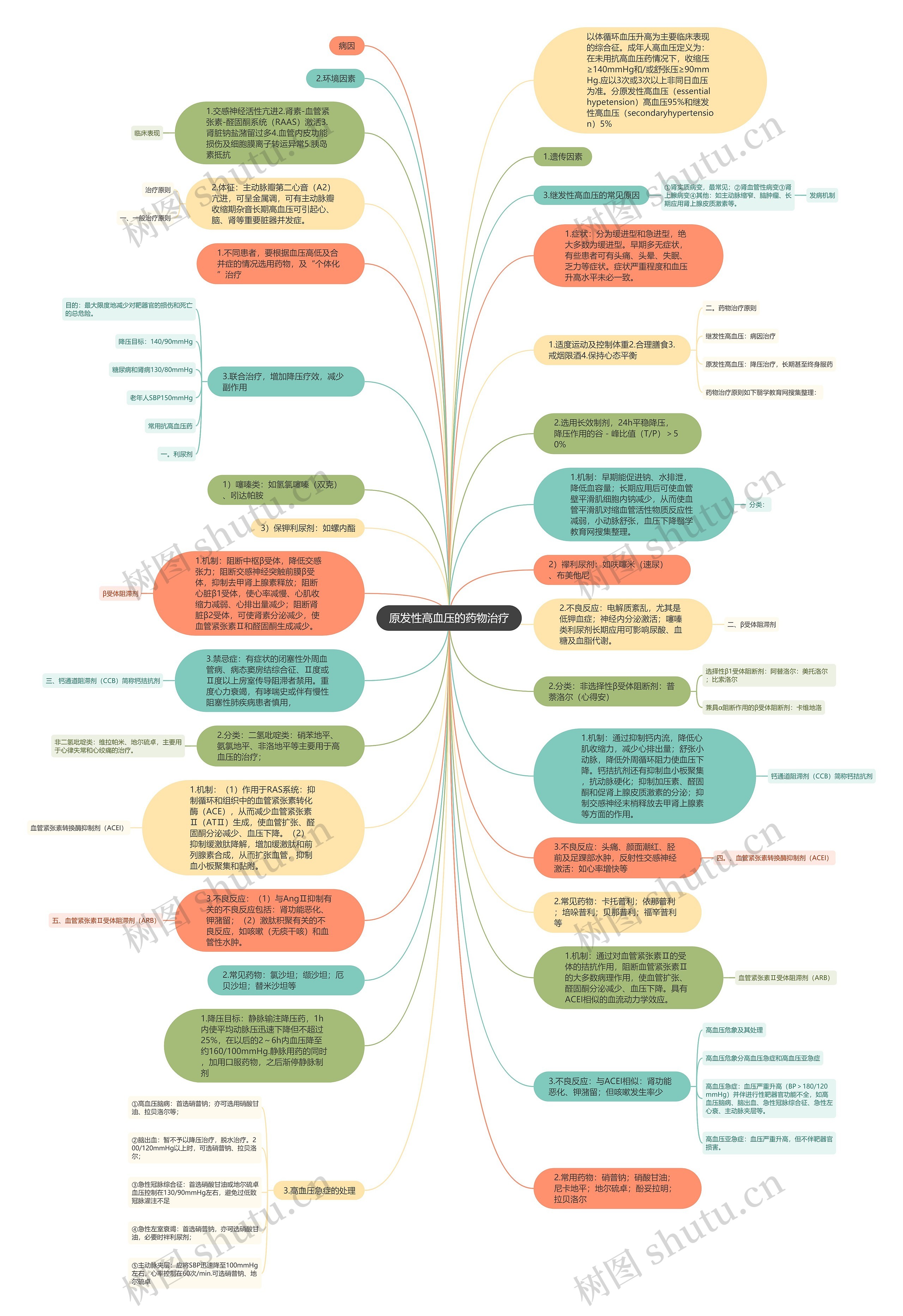 原发性高血压的药物治疗思维导图