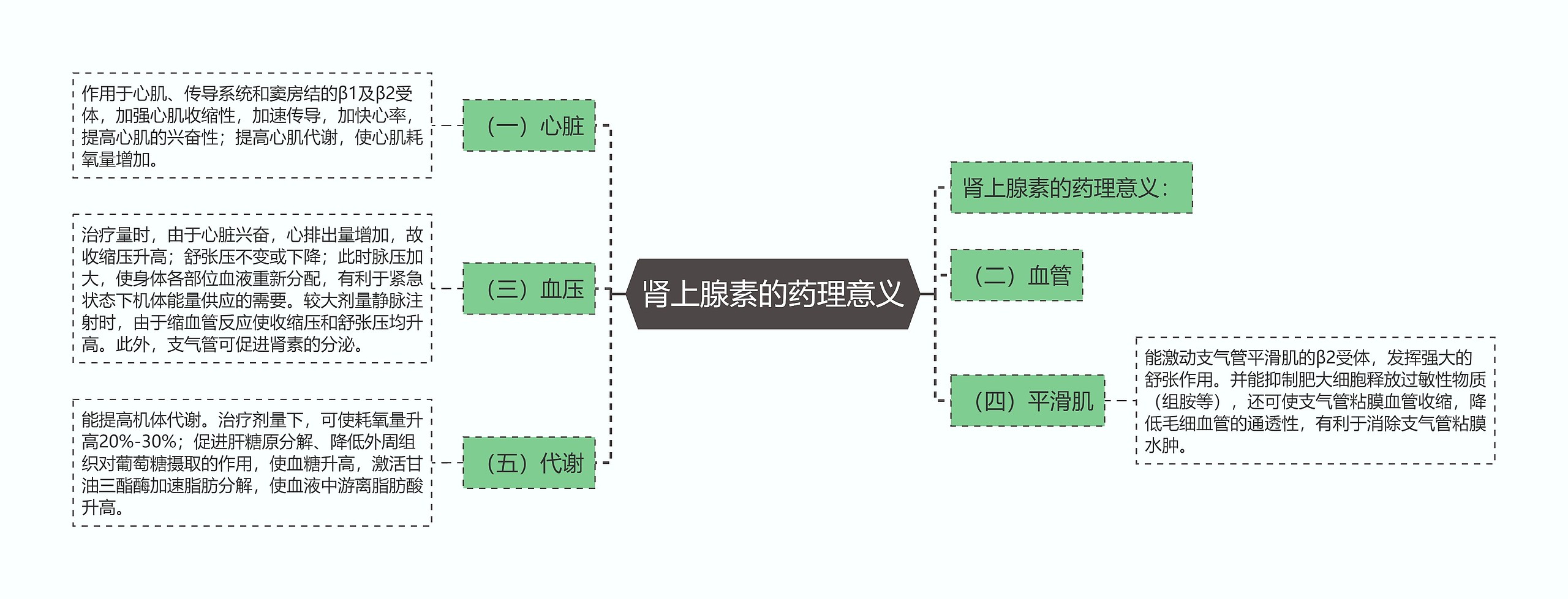 肾上腺素的药理意义思维导图