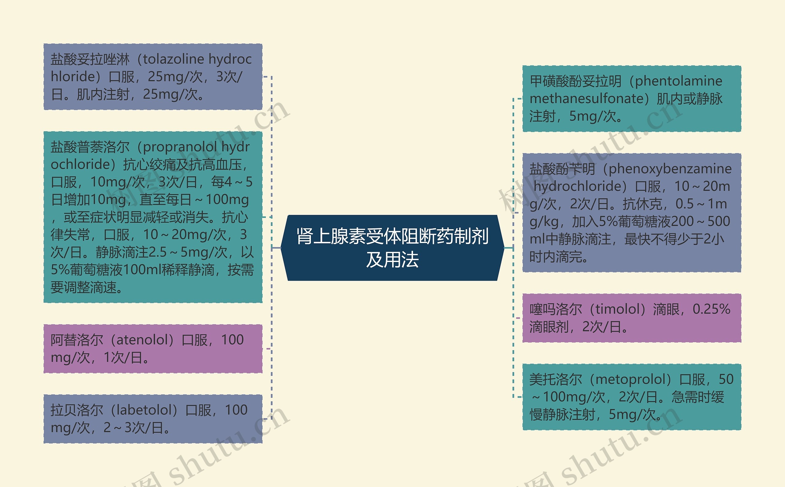 肾上腺素受体阻断药制剂及用法思维导图