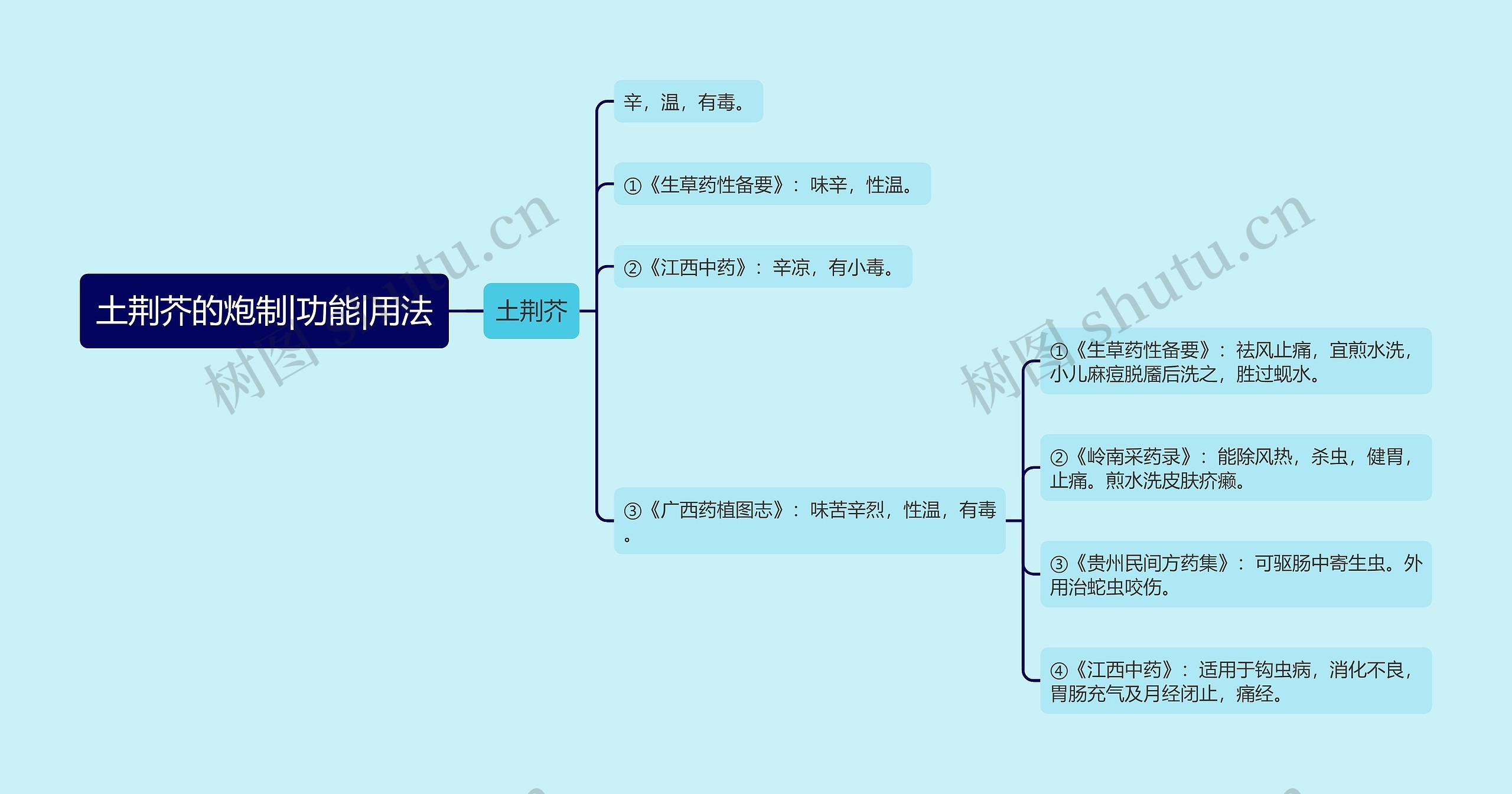 土荆芥的炮制|功能|用法