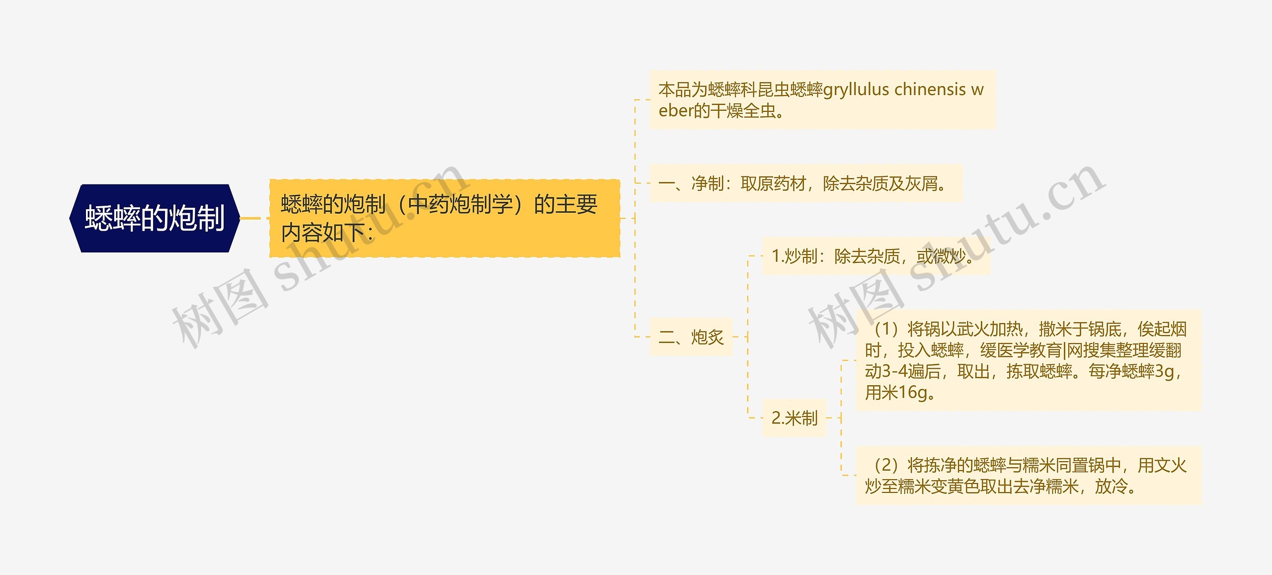 蟋蟀的炮制思维导图