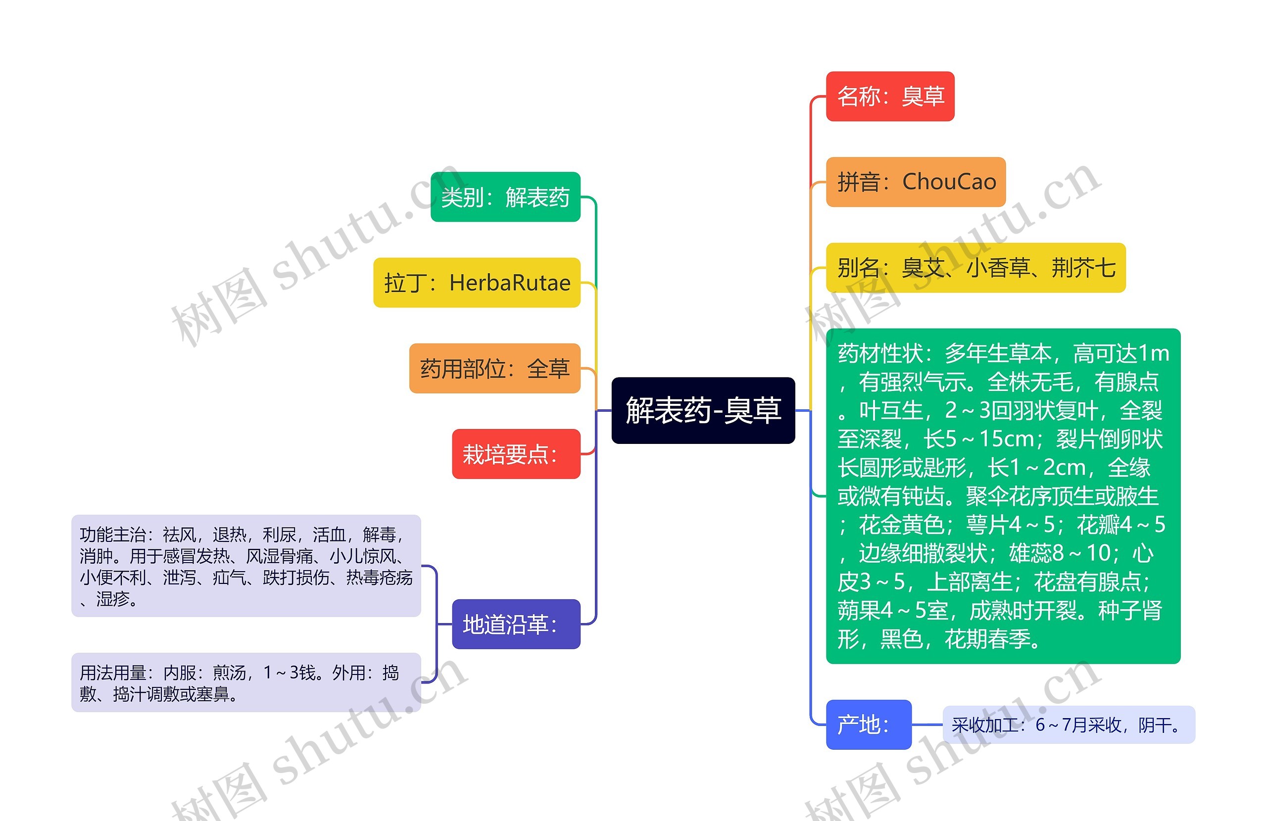 解表药-臭草思维导图