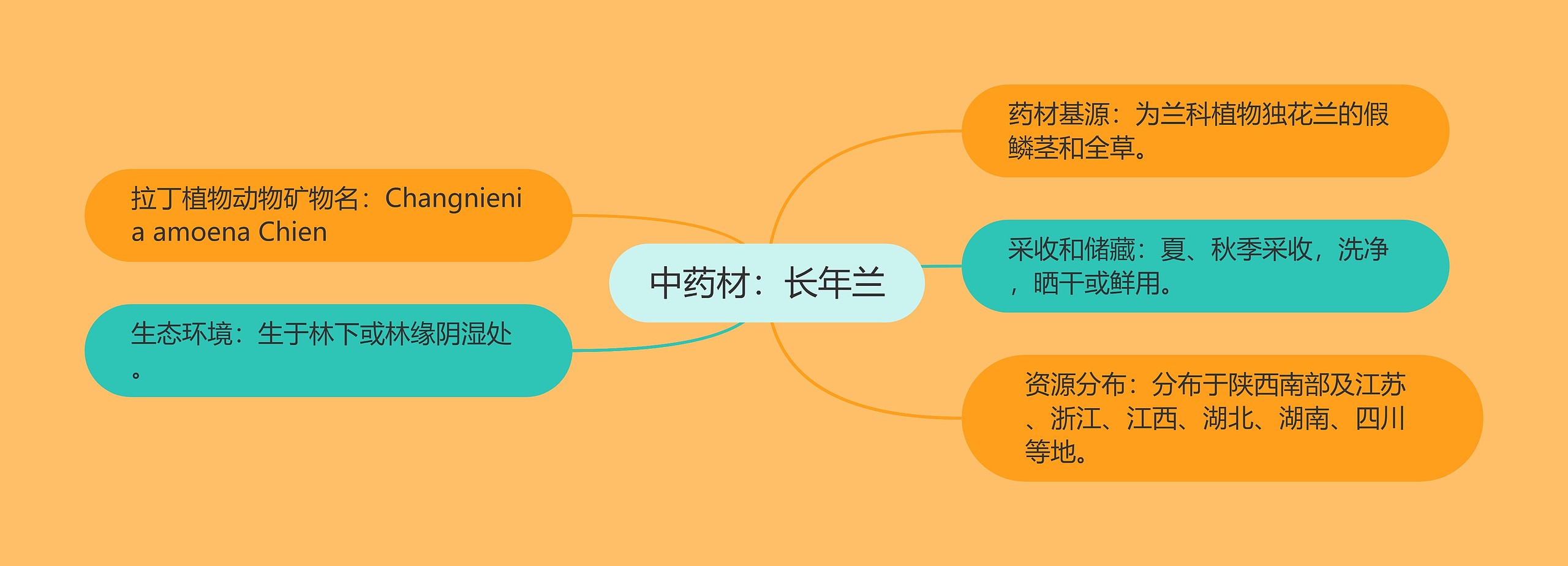 中药材:长年兰 中药材:长年兰