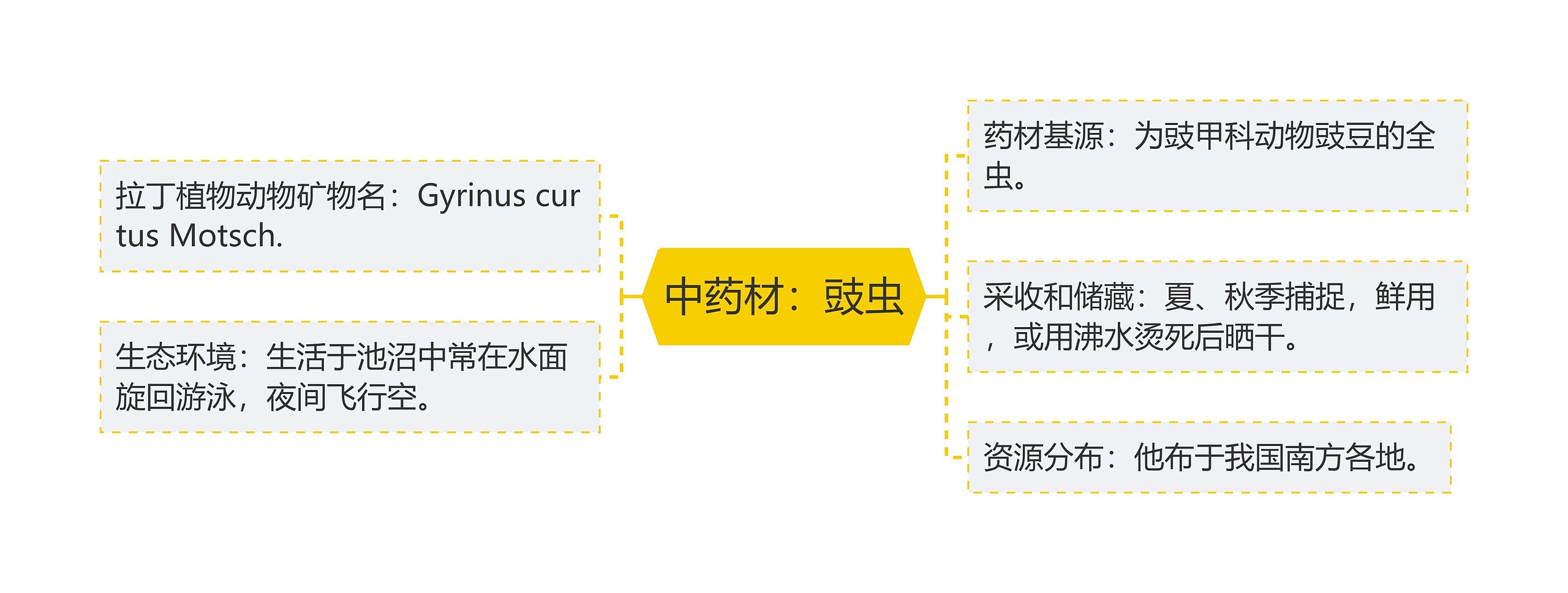 中药材:豉虫 中药材:豉虫