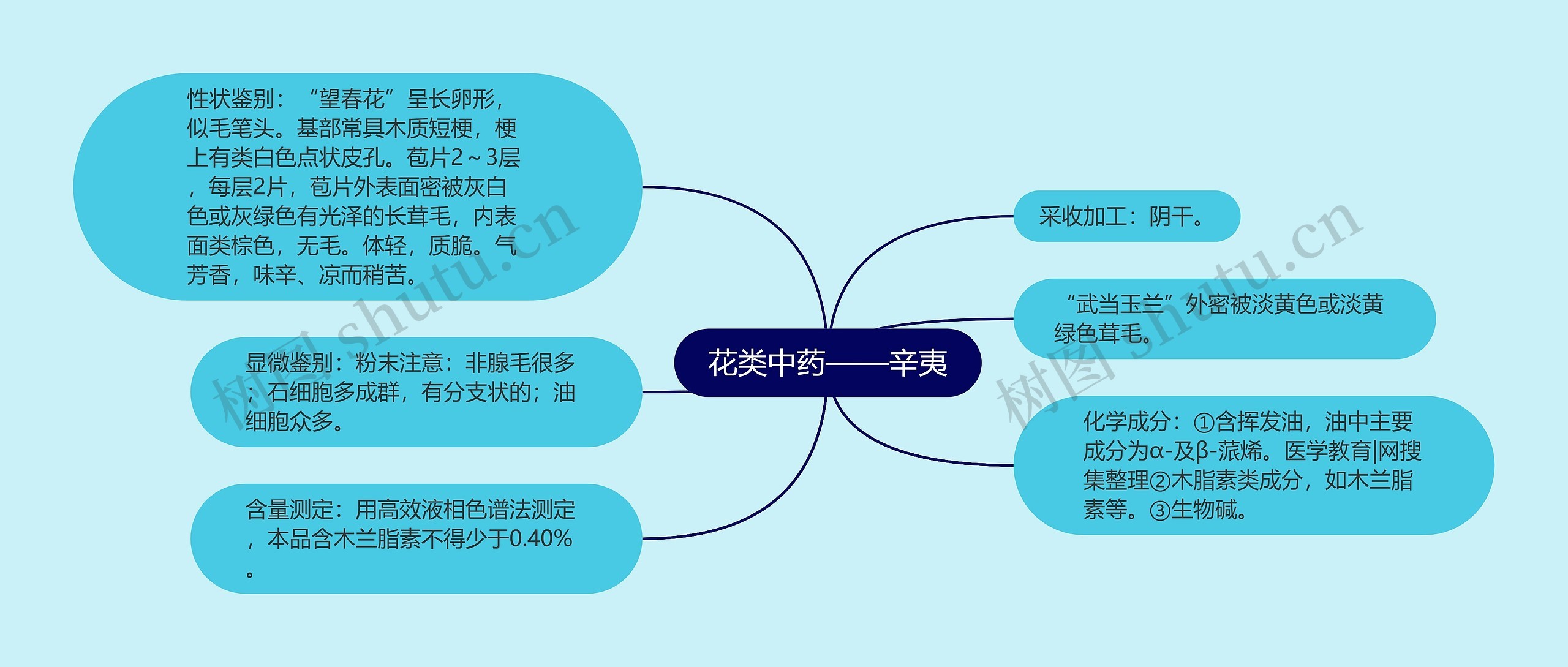 花类中药——辛夷思维导图