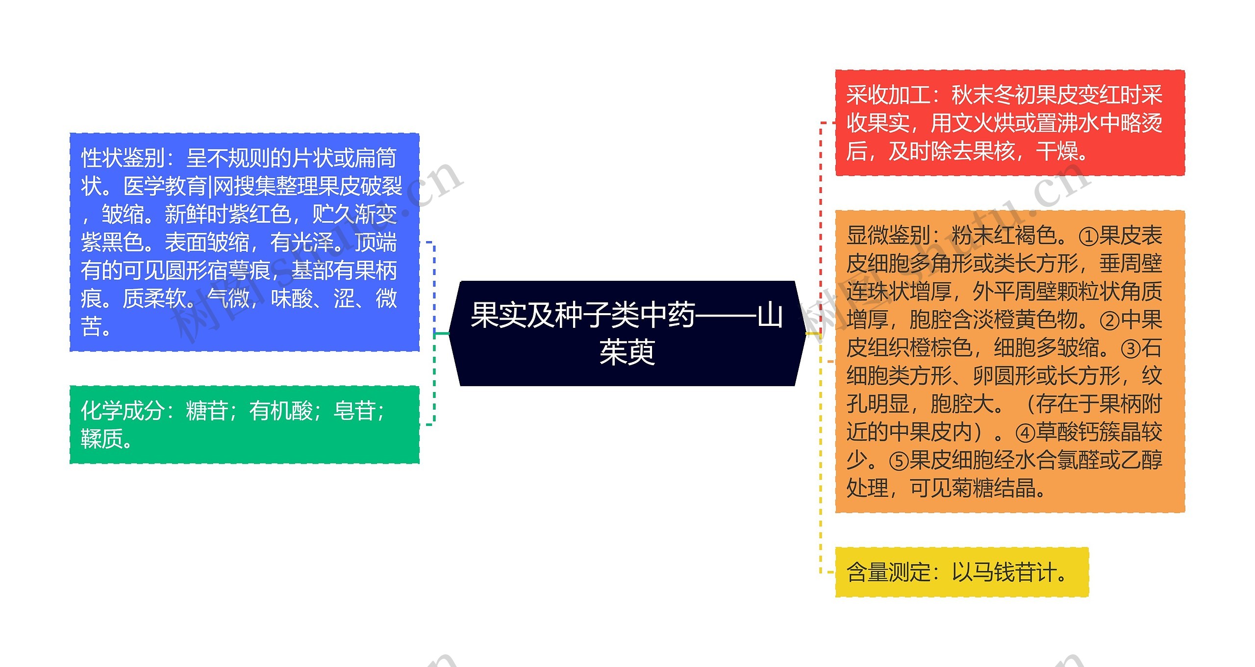 果实及种子类中药——山茱萸思维导图