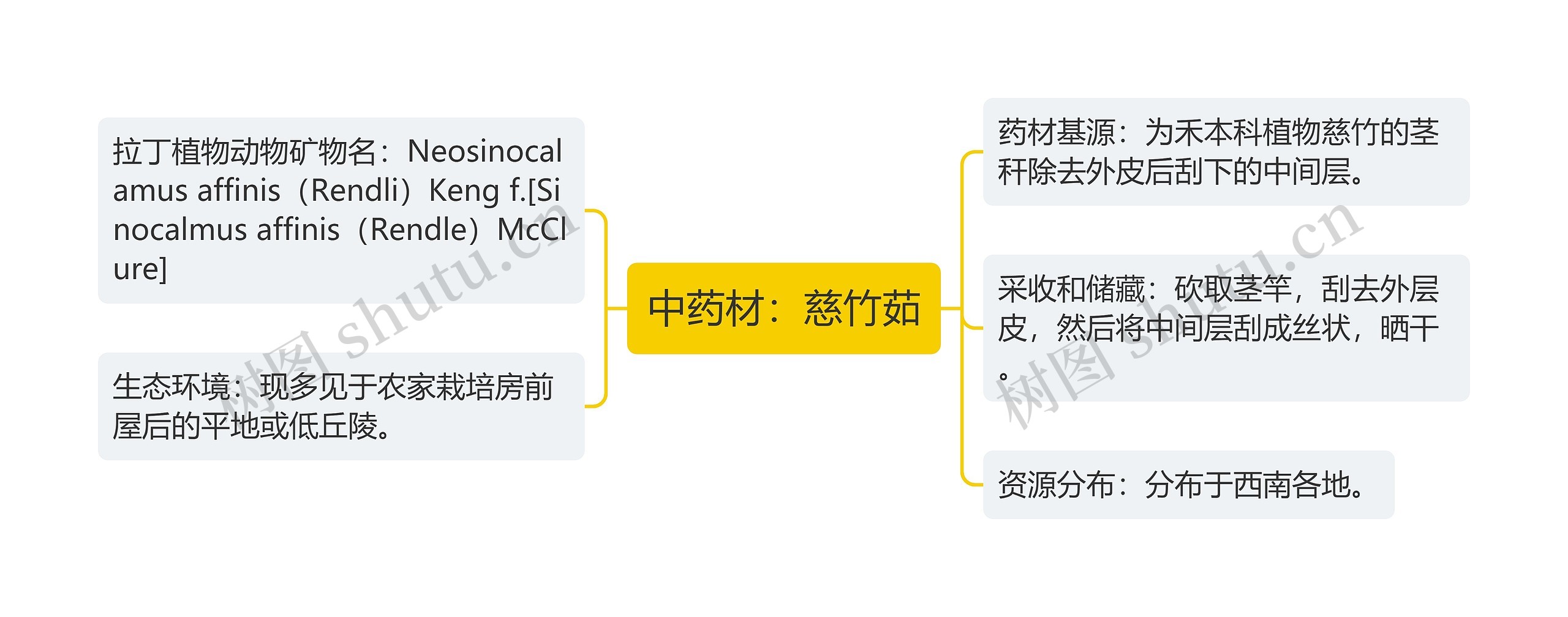 中药材：慈竹茹思维导图