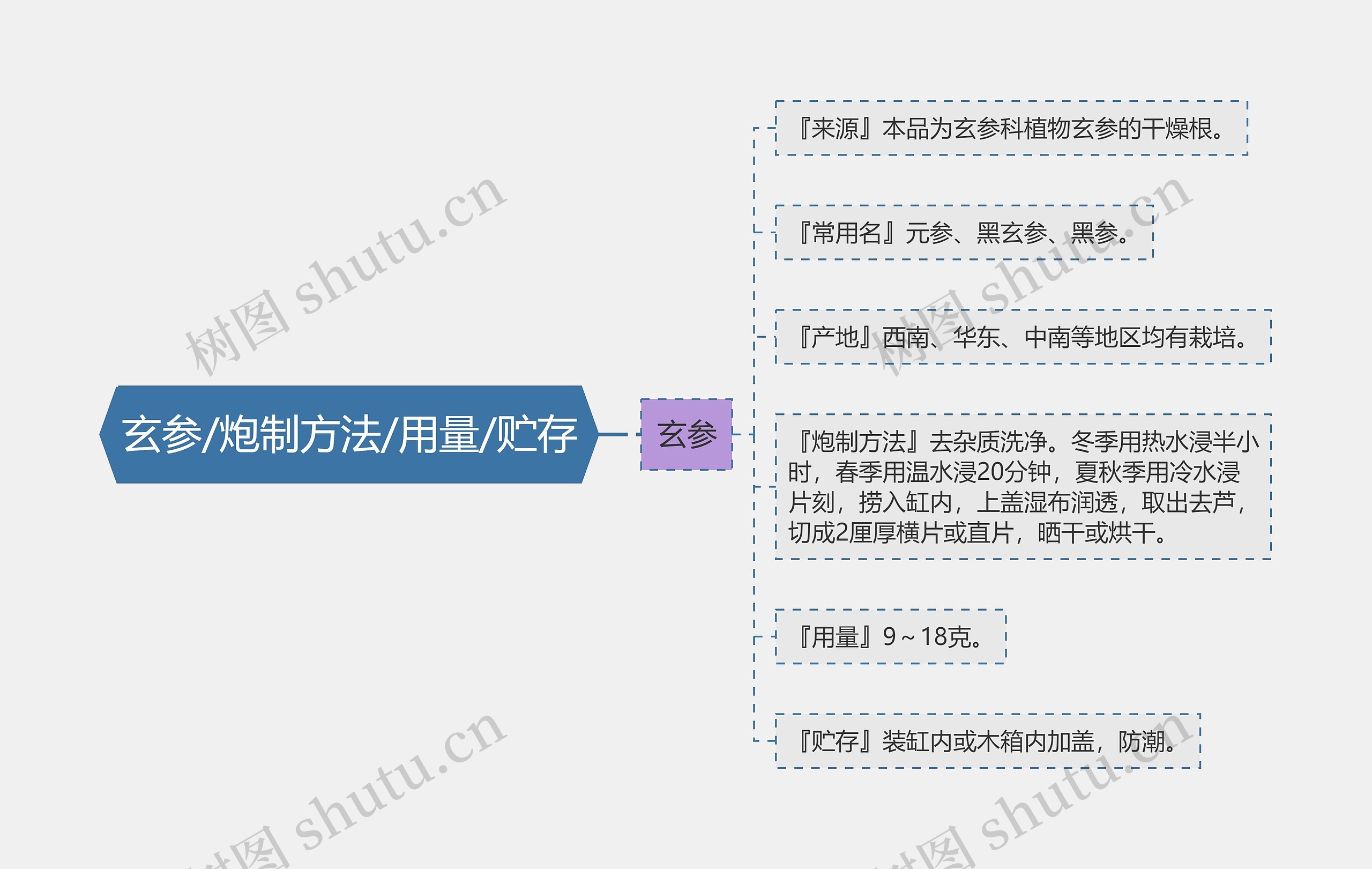 玄参/炮制方法/用量/贮存思维导图